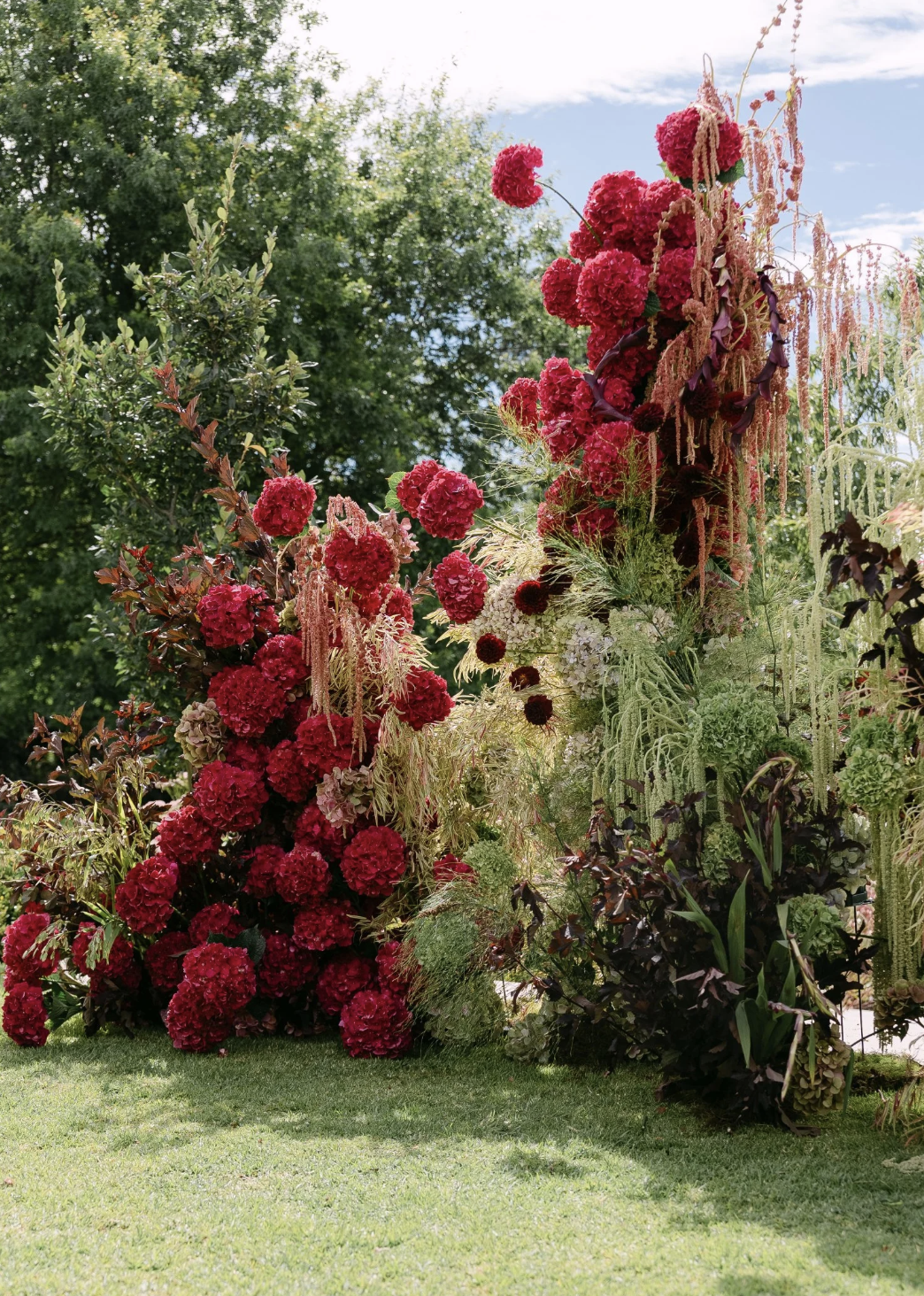 BOTANICALS