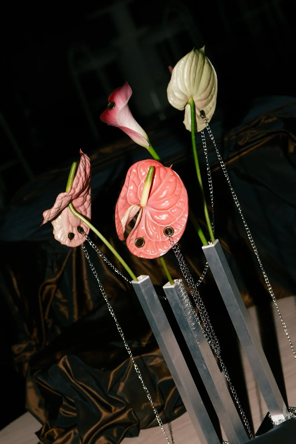 DSCF1570.webp