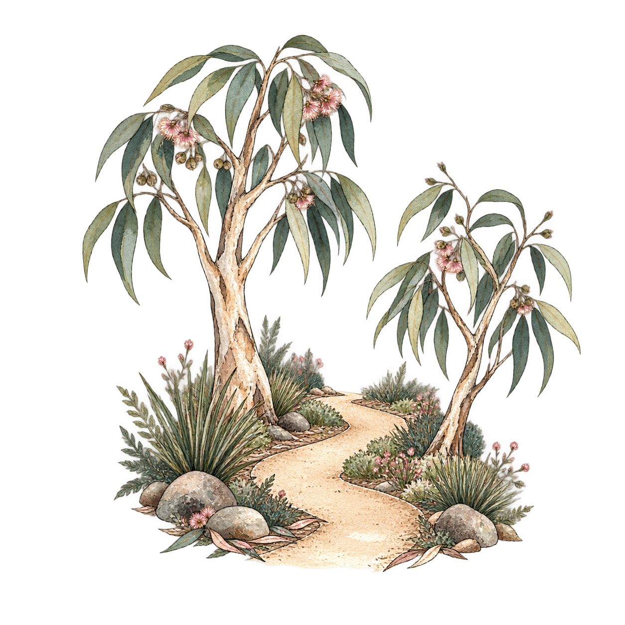 A watercolor illustration of a garden scene with two eucalyptus trees, pink flowers, lush bushes, and a winding dirt path.
