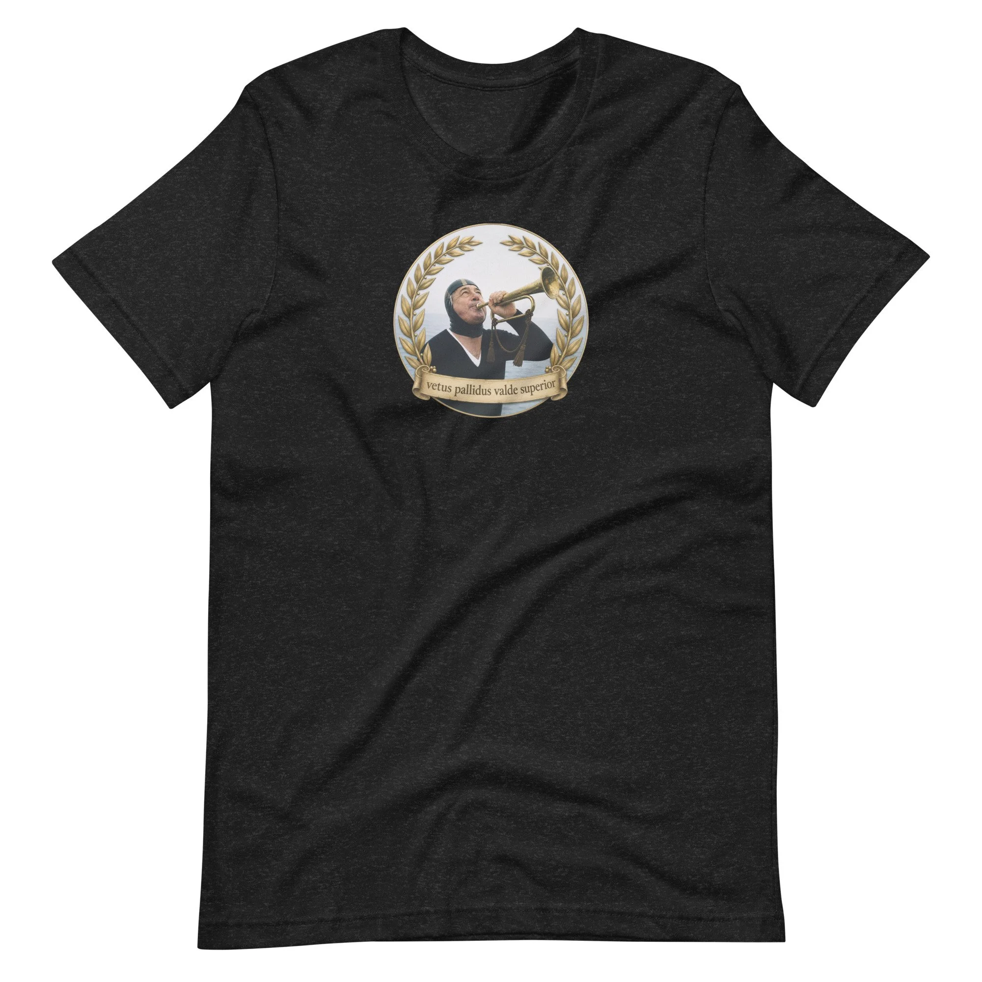 unisex-staple-t-shirt-black-heather-front-6abf1252b31c6.jpg