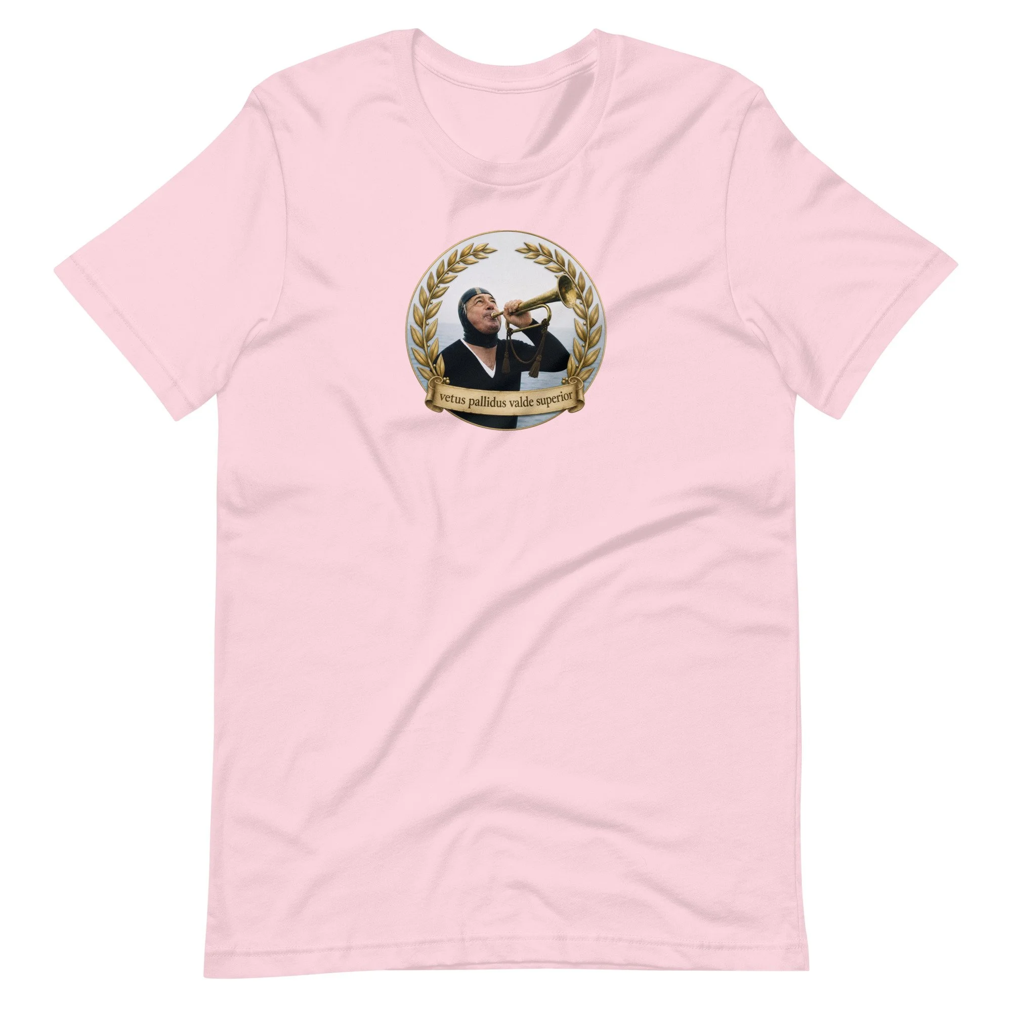unisex-staple-t-shirt-soft-pink-front-6abf1252b36a8.jpg