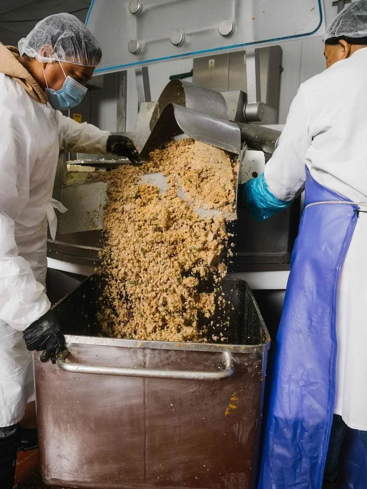 Two workers in protective gear operating a food processing machine that is extruding a grainy, beige substance into a large metal container.