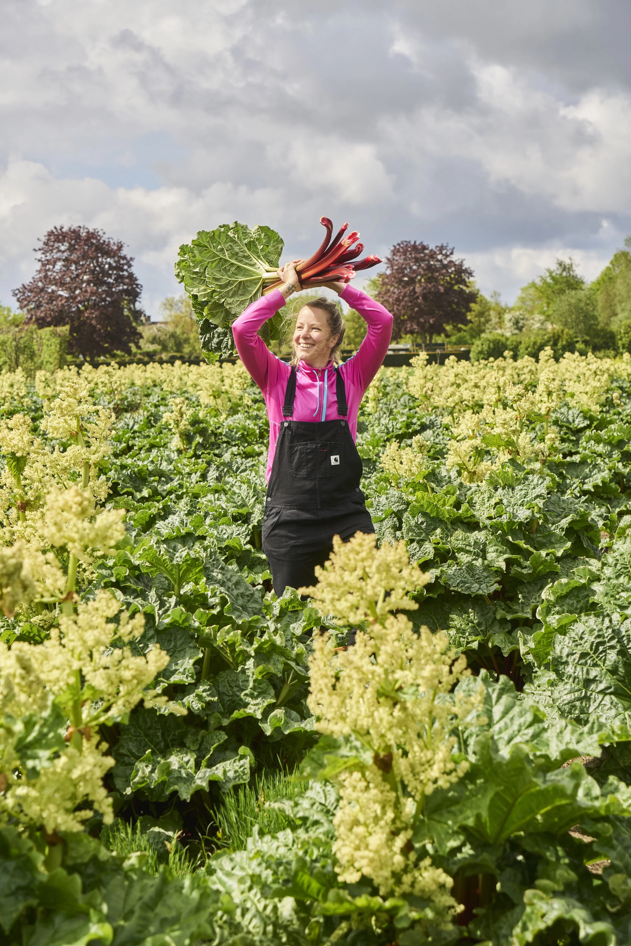 Vrouw in roze jas met zwarte overall houdt een grote bos roze rabarber boven haar hoofd in een veld met witte bloemen, met bomen en een bewolkte hemel op de achtergrond.