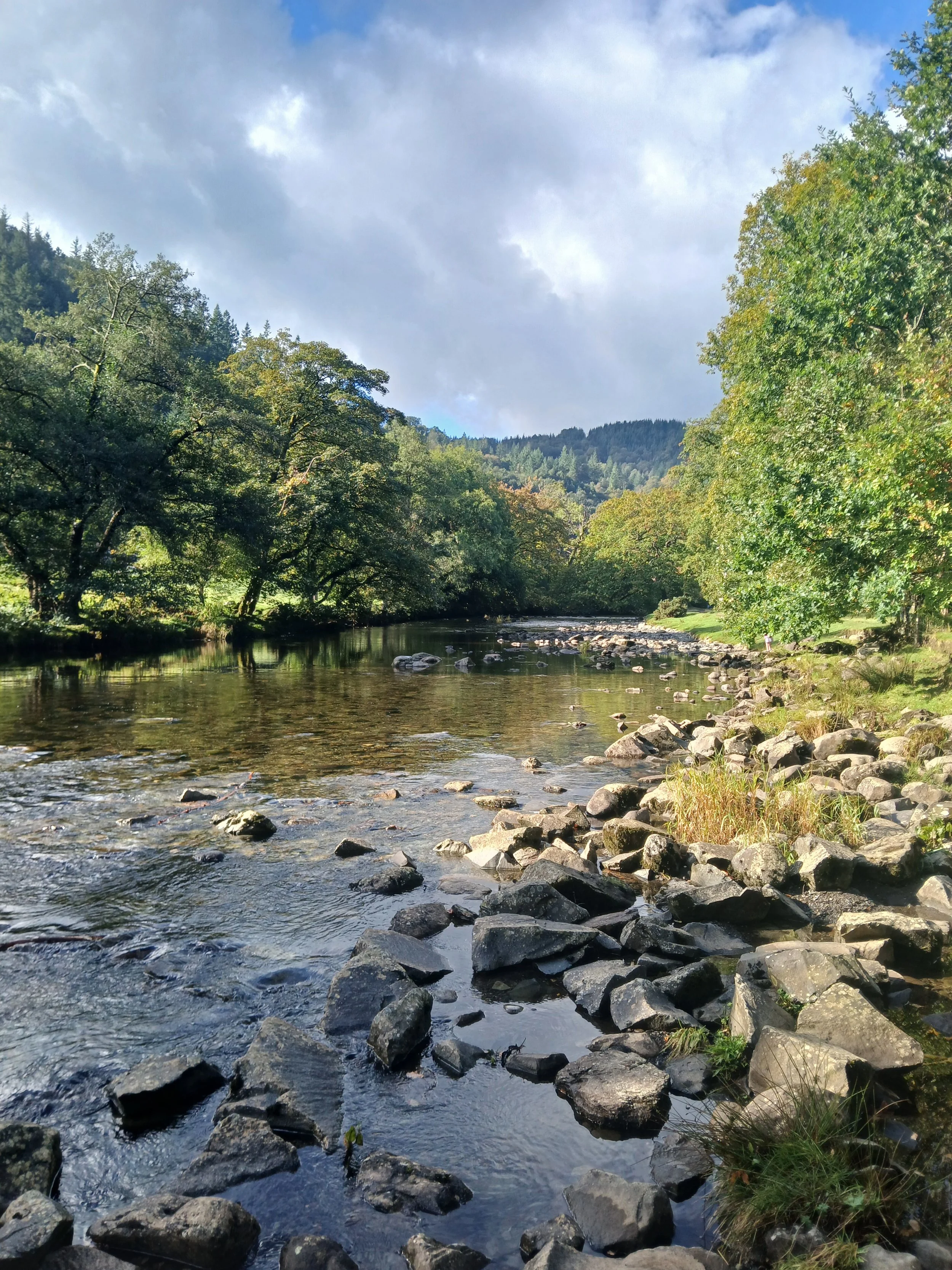 A photo of the of a river environment just one type of location that Mosaic Environmental staff carry out work.