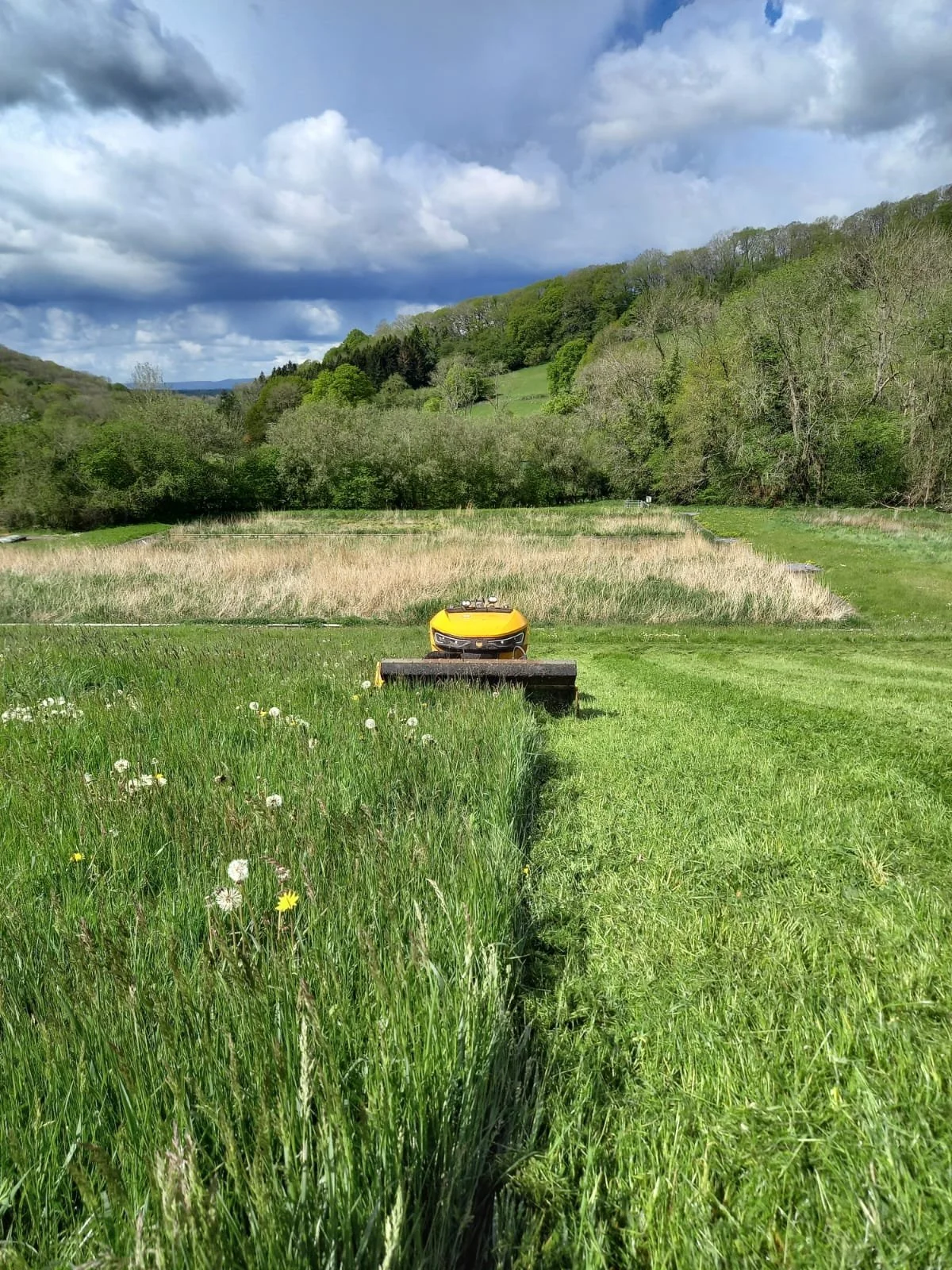 A photo of a habitat and vegetation management project completed by the team.