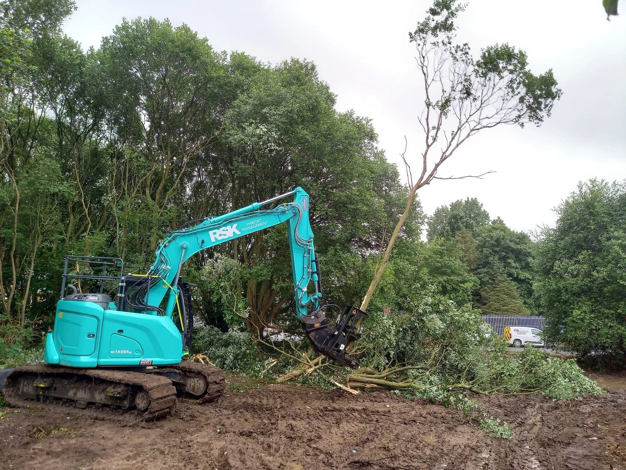 Tree & Woodland Works