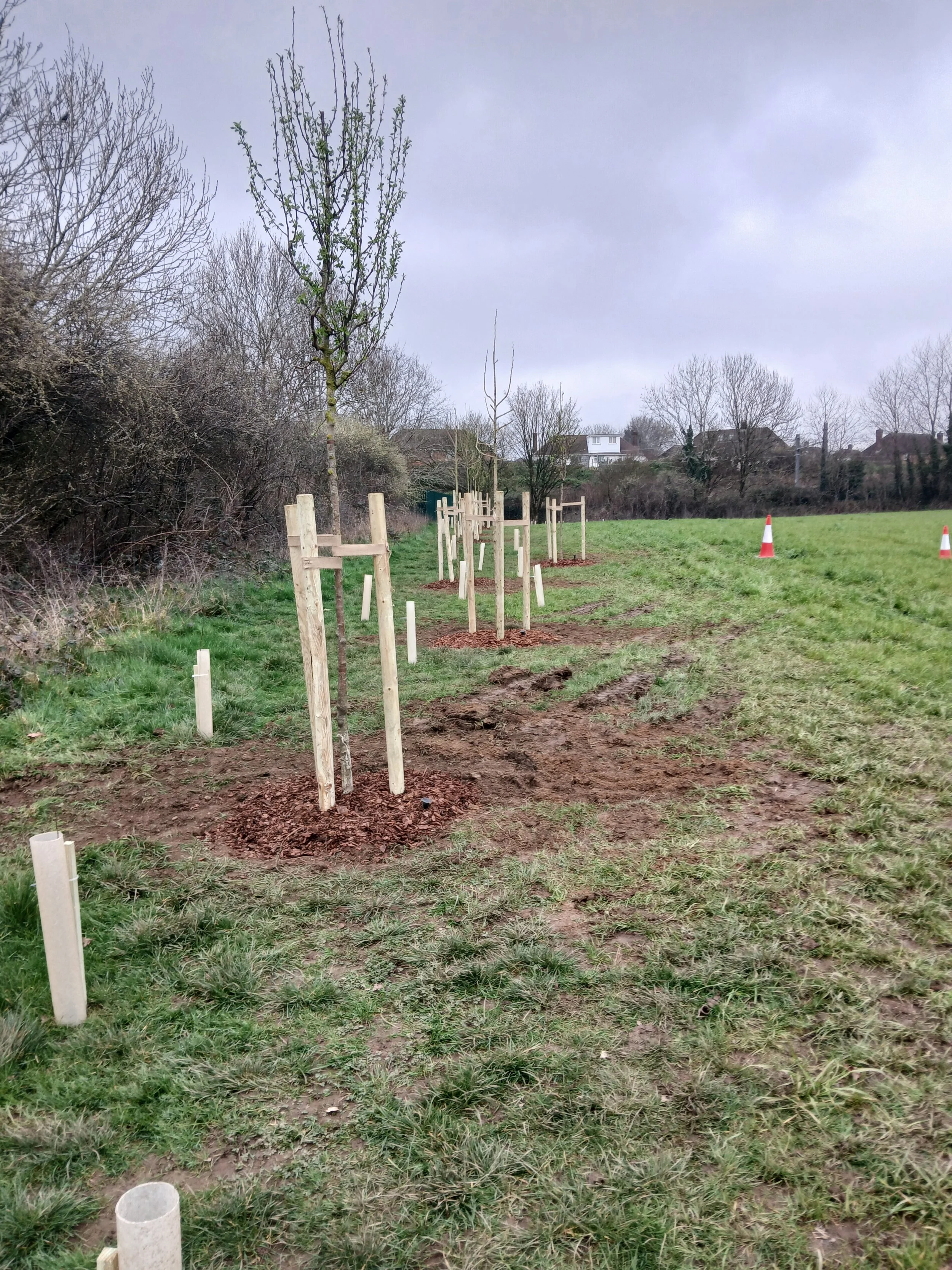 Environmental Groundworks