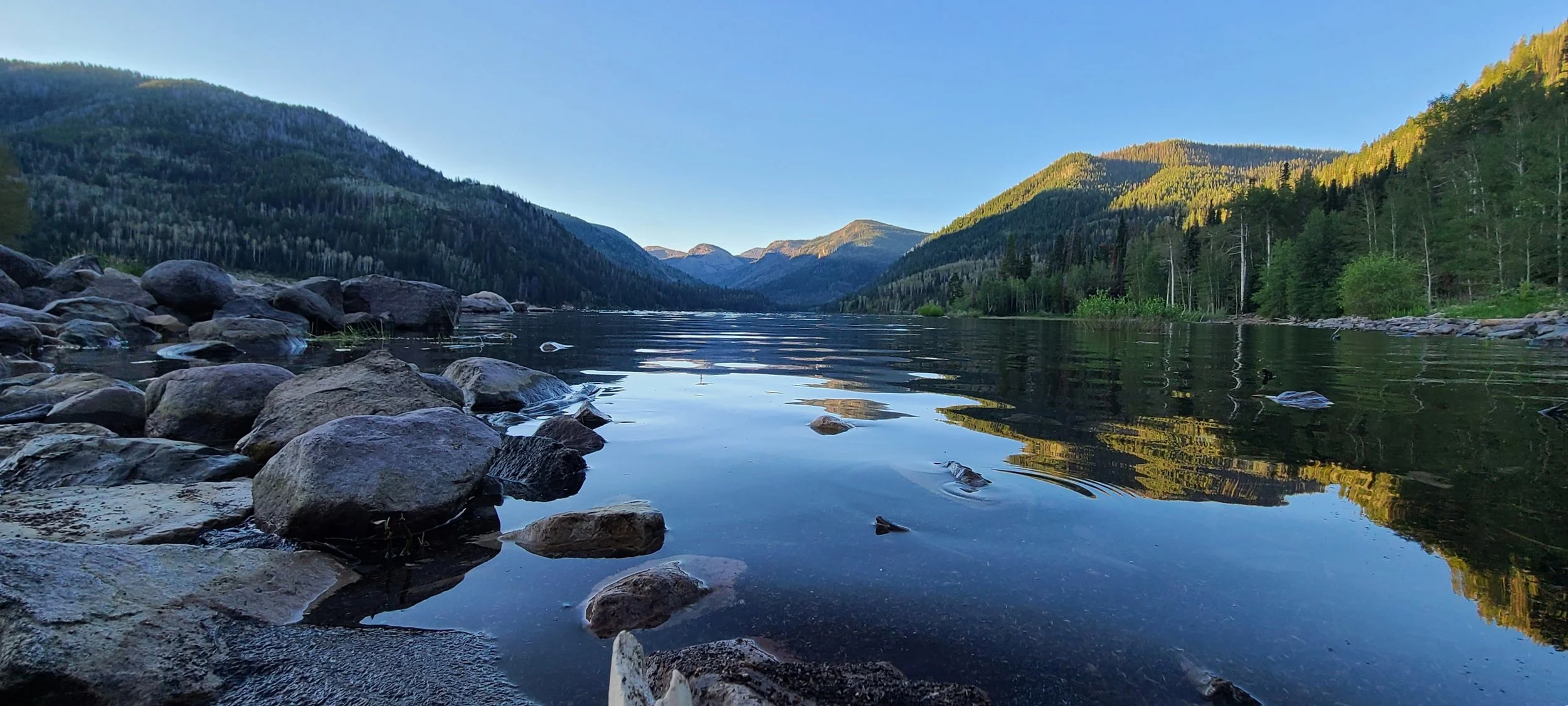 STILLNESS IN THE VALLEY