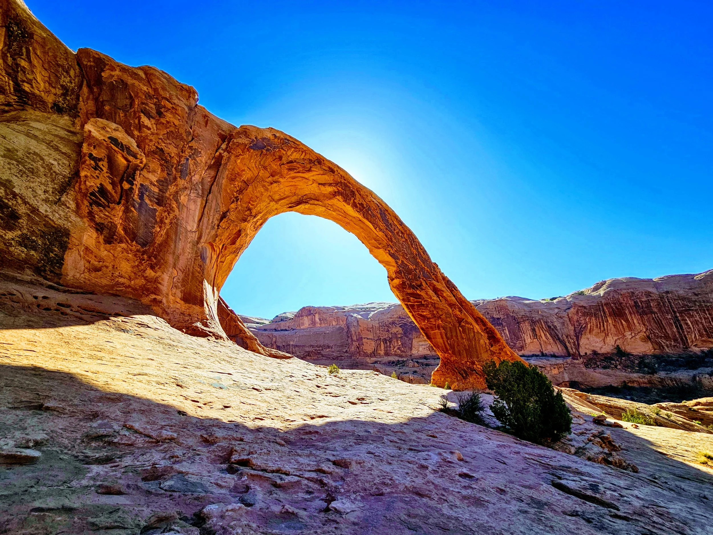 DESERT CATHEDRAL