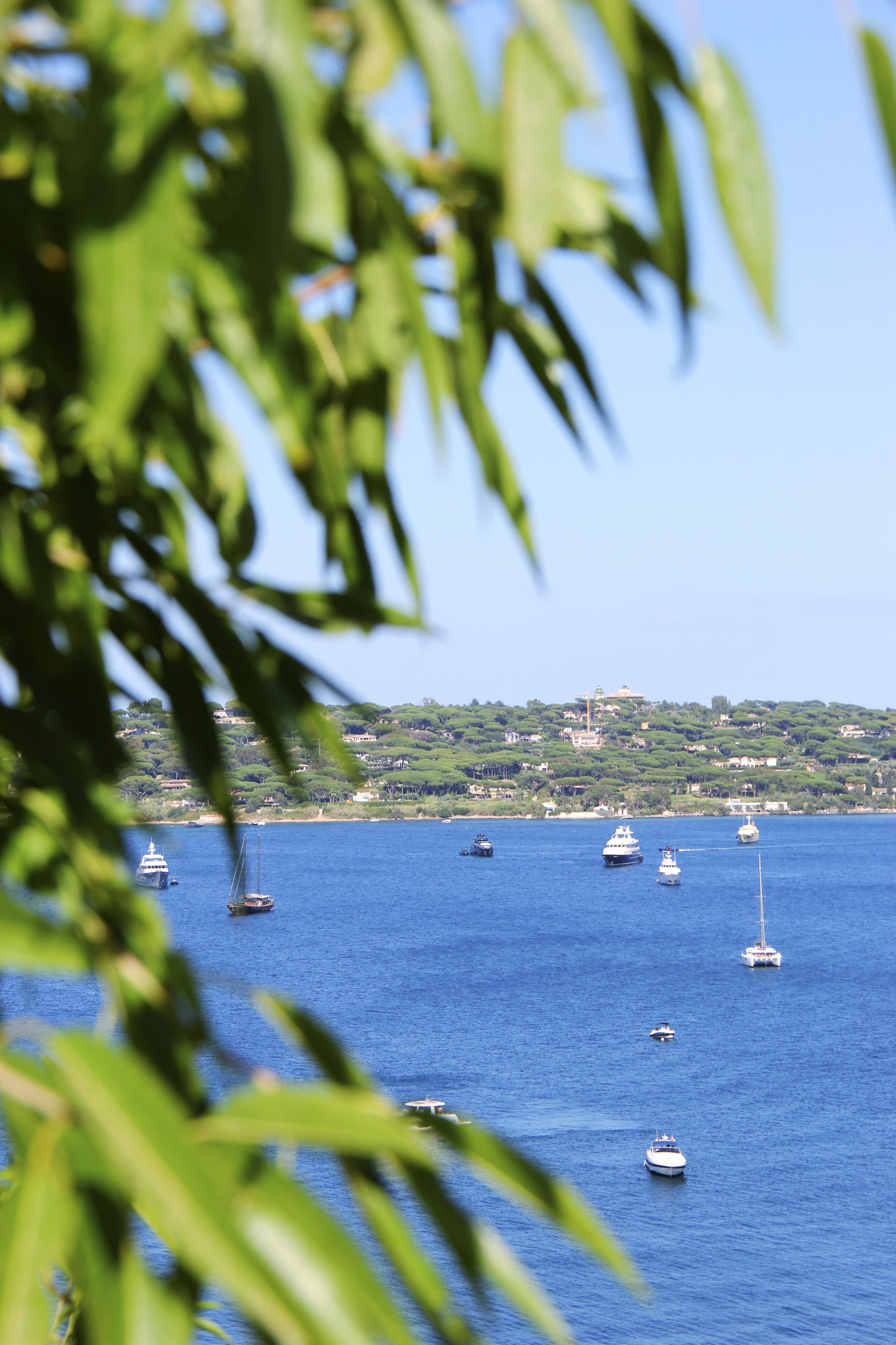 Mediterranean Shoot for LAMERIA