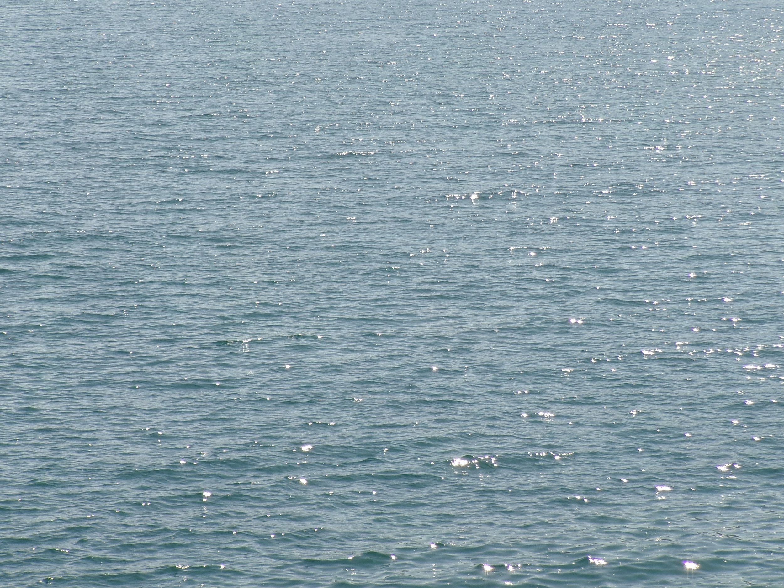 Shimmering ocean photographed by Larissa Maddy