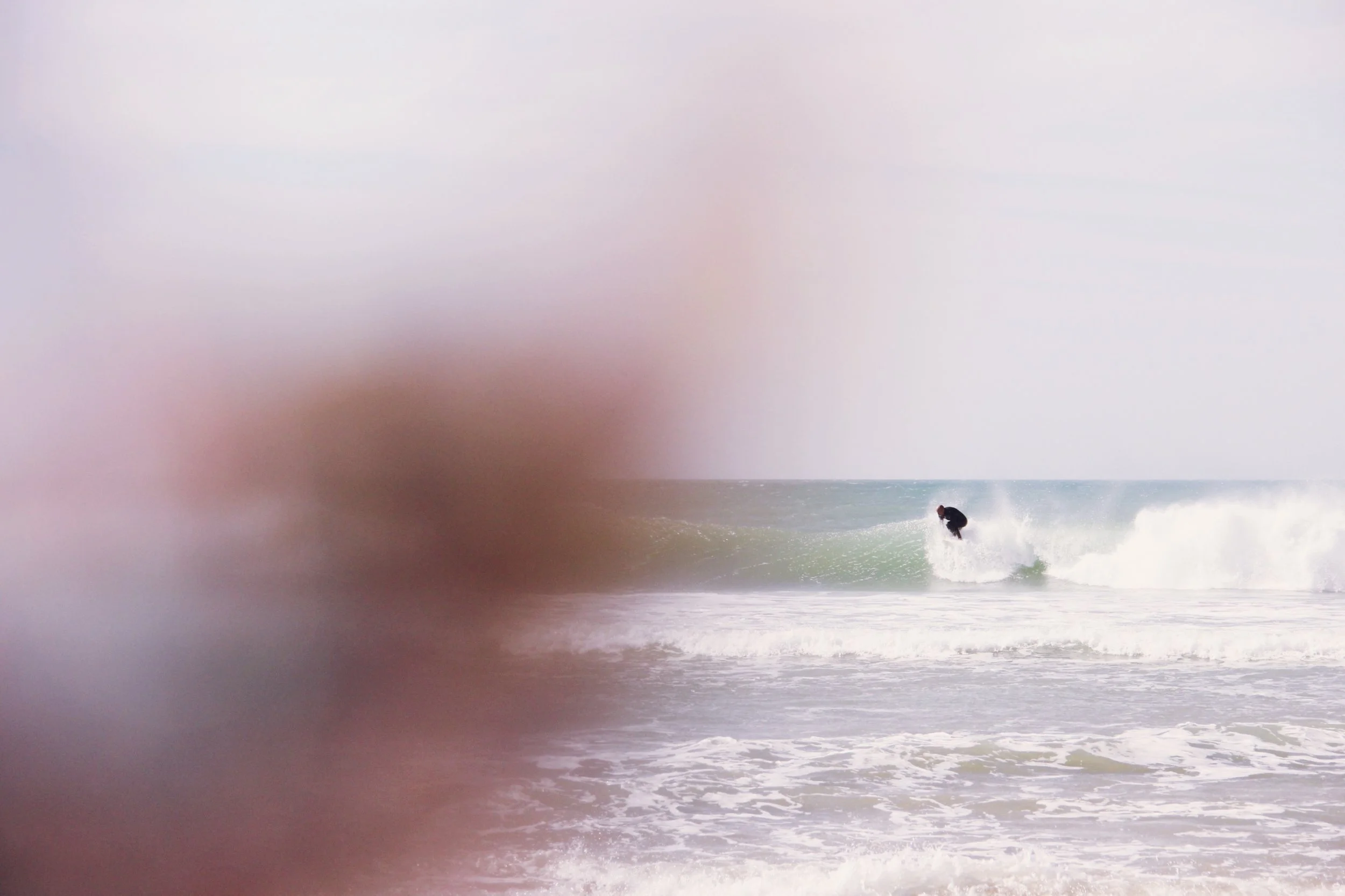 A surfer riding a wave photographed by Larissa Maddy