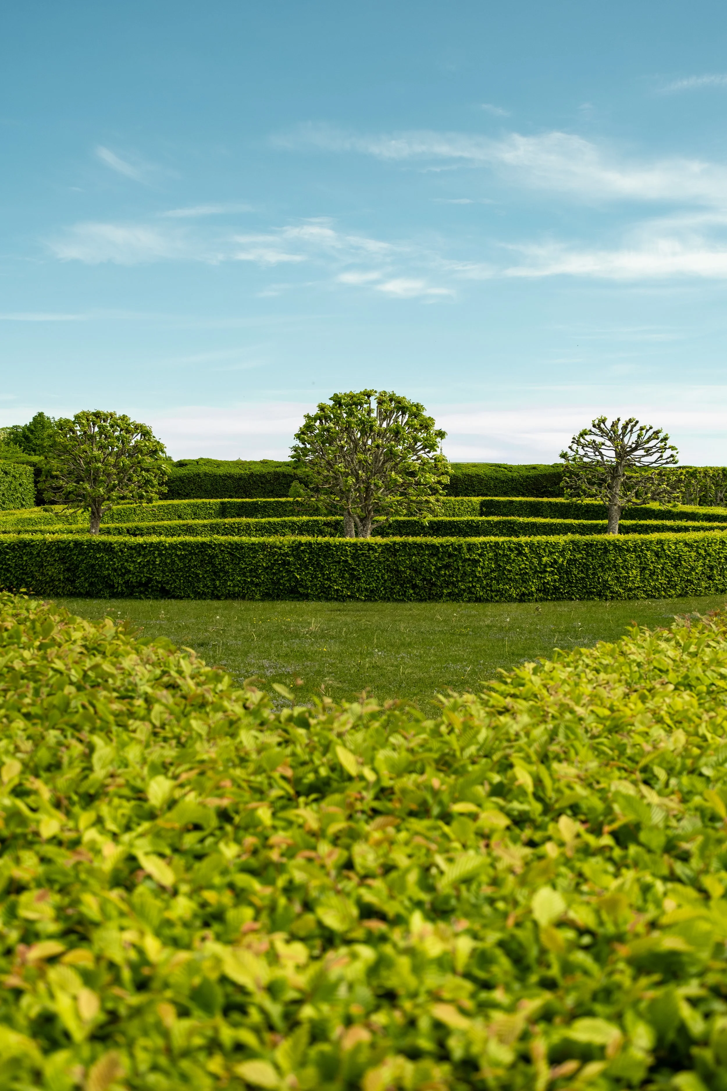 Landscape view of trimmed bushes, small trees, and a hedge in a garden with a blue sky and scattered clouds.