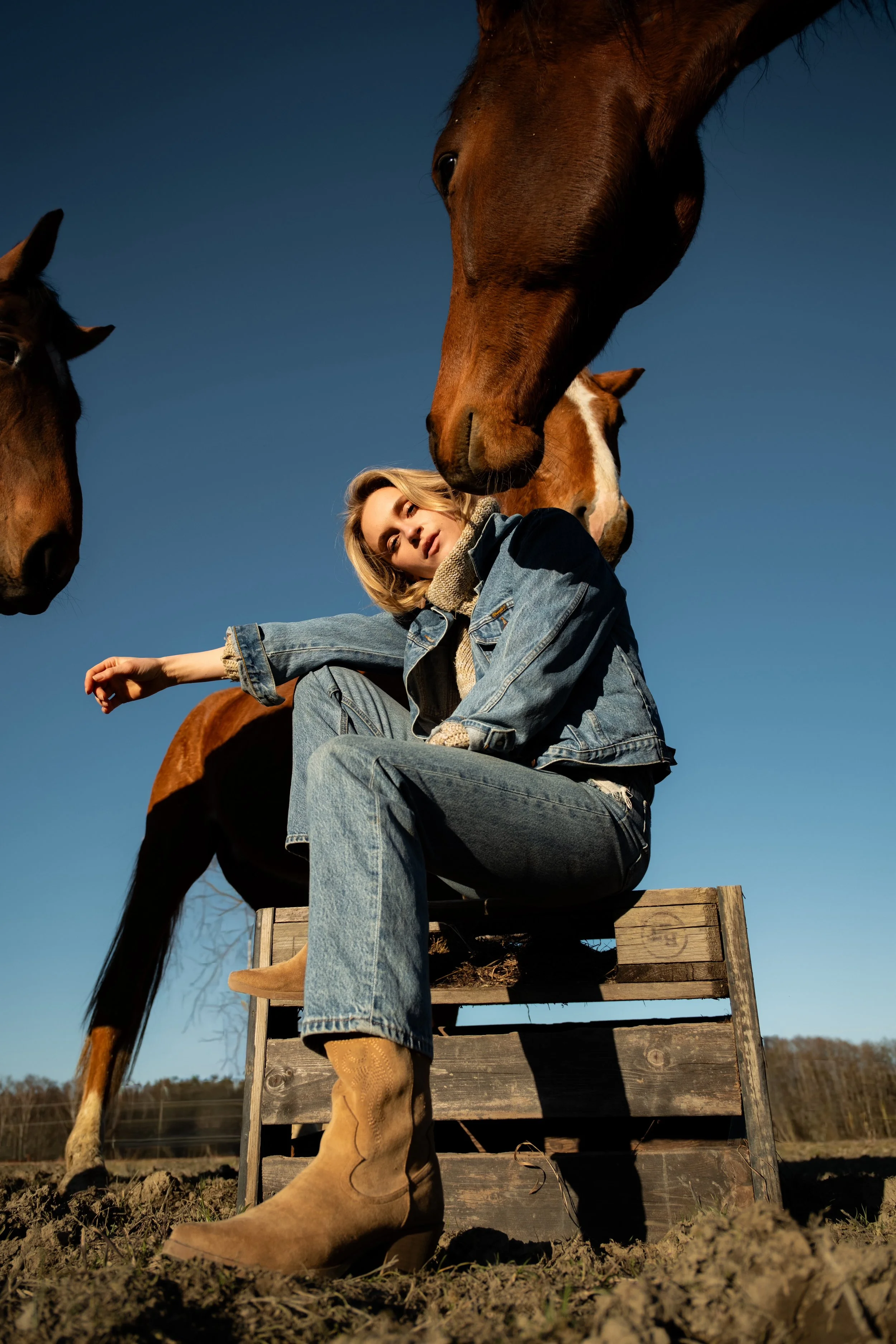 A woman sitting on a wooden platform outdoors, surrounded by three horses, with a clear blue sky in the background.