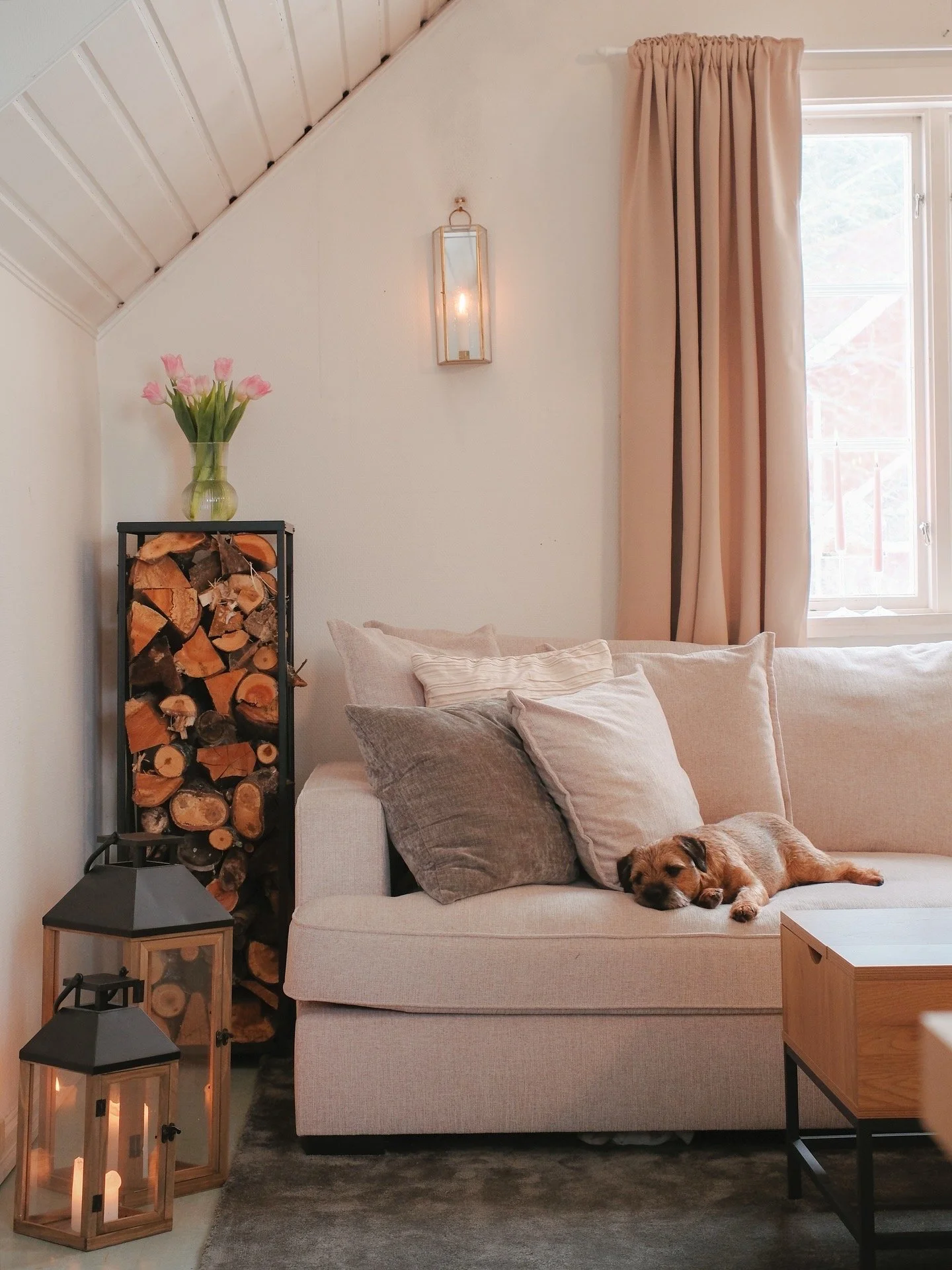 Living room with a beige sofa, cushions, a window with beige curtains, a log storage with a vase of pink tulips on top, and a small dog resting on the sofa.