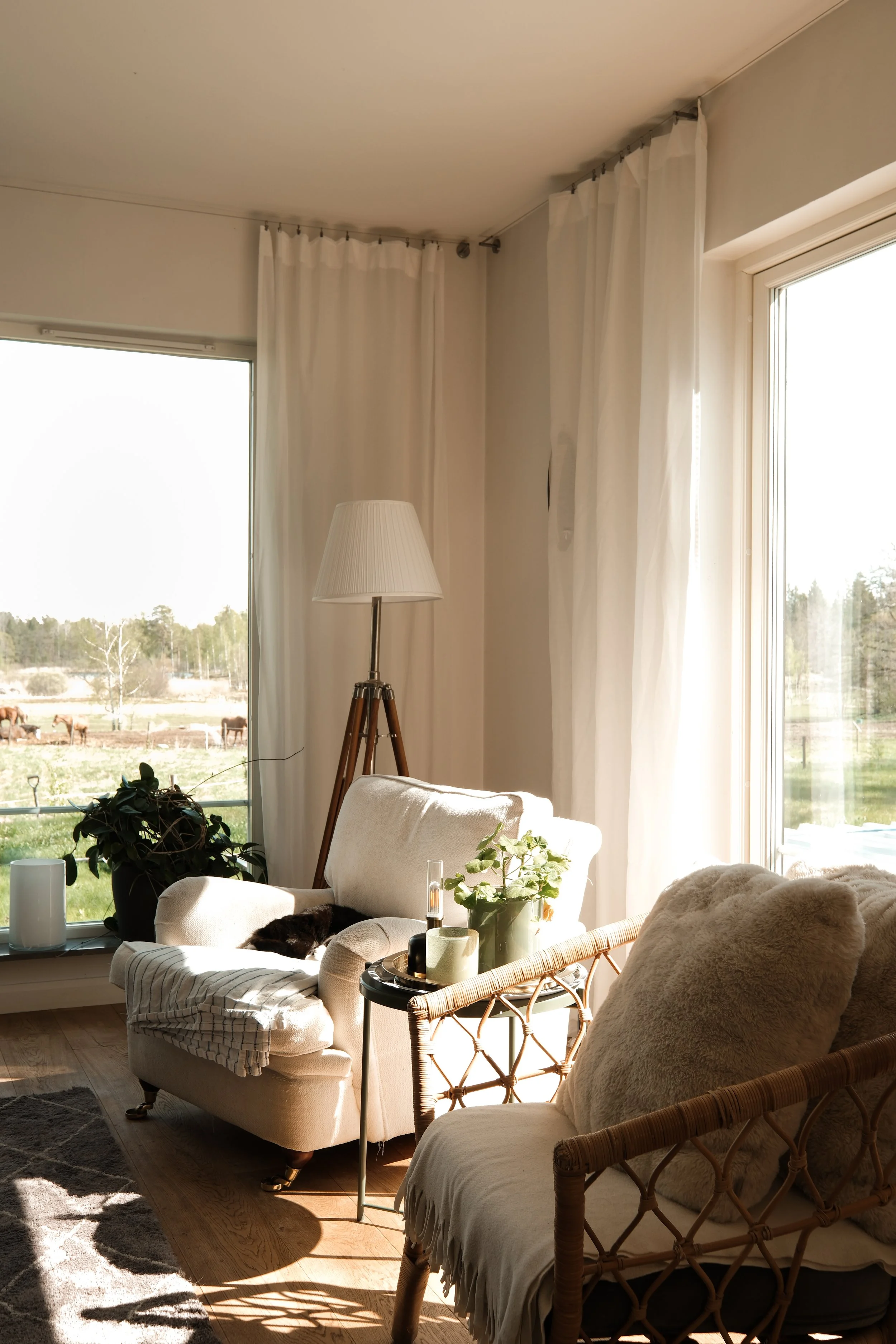 Sunlit living room with large windows and white curtains, beige sofas, a wooden floor, a floor lamp, plants, and a view of a field with horses outside.