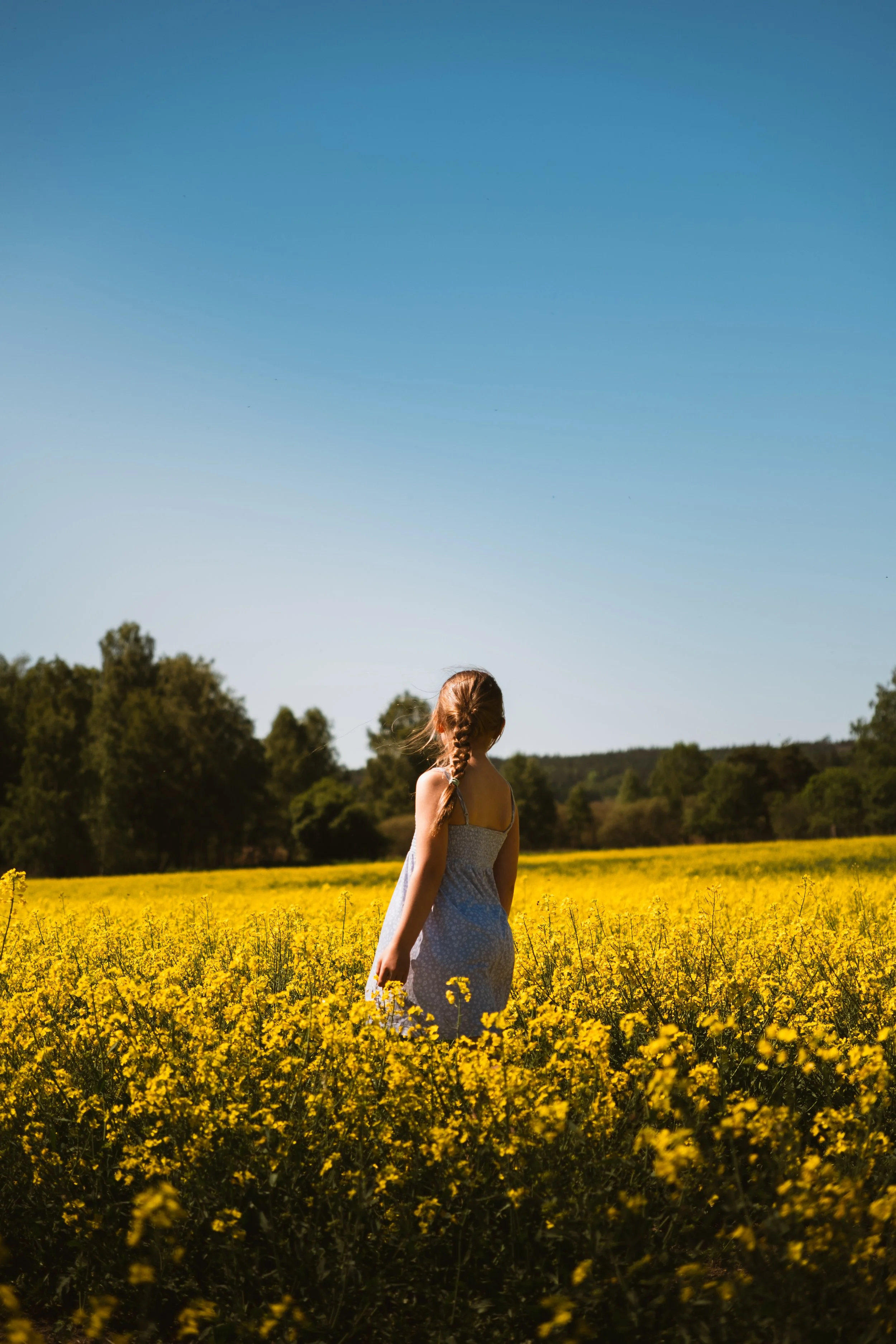 A young girl with a braided hair in a floral summer dress walking through a bright yellow flower field, with a clear blue sky and trees in the background.