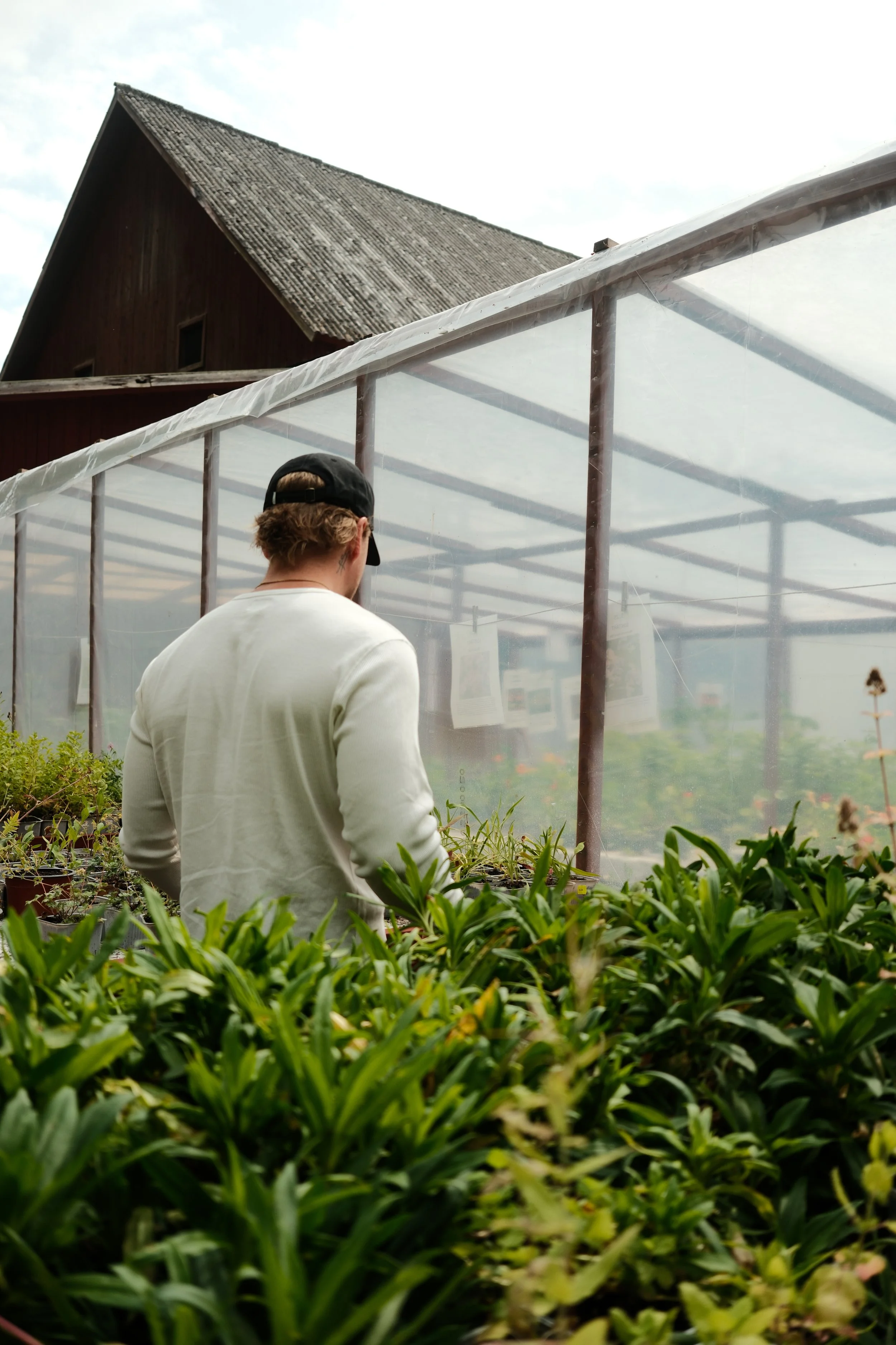A person with blonde hair, a black baseball cap, and a white blazer standing in a greenhouse surrounded by green plants and trees.