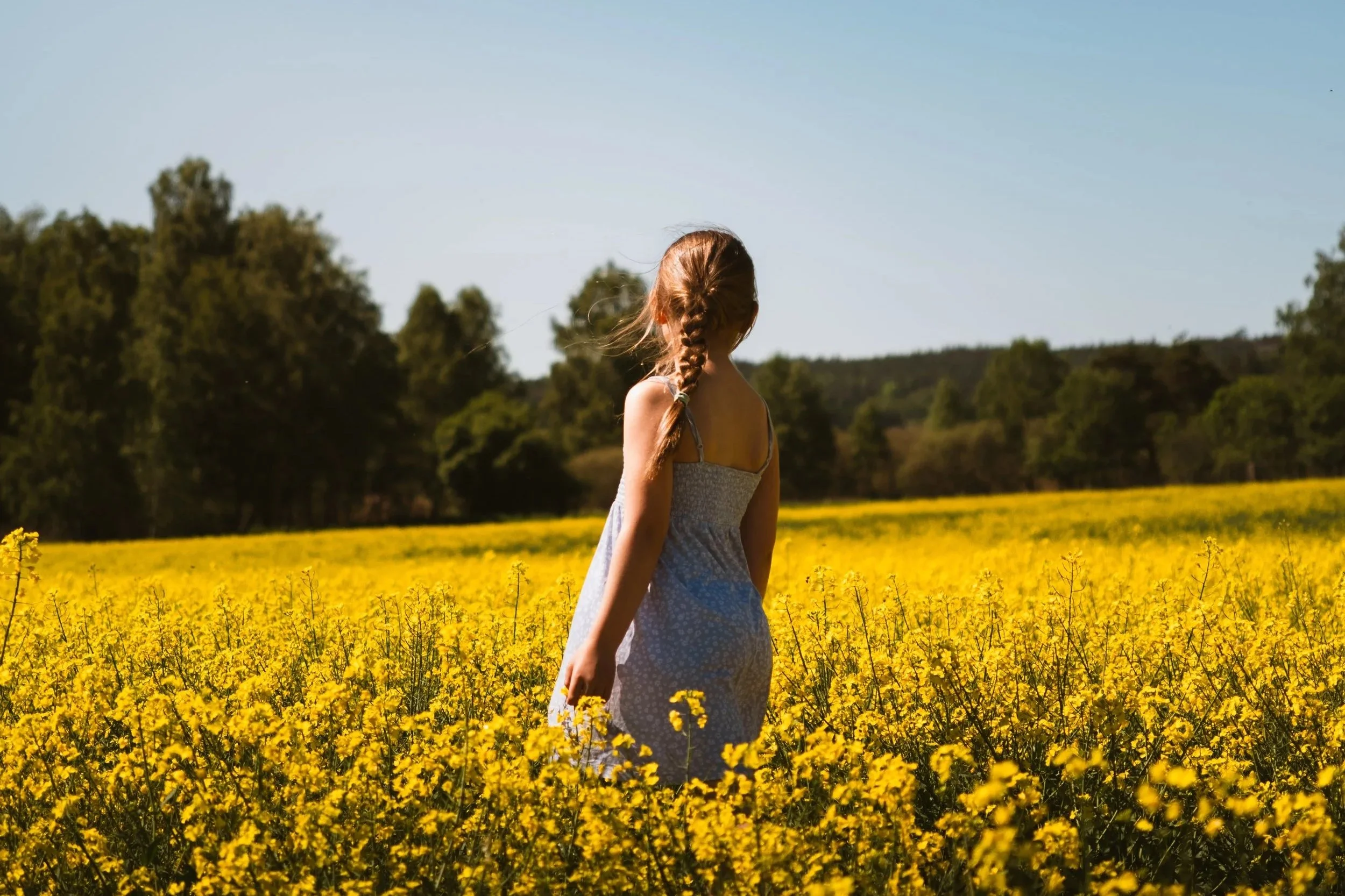 Girl with braided hair walking through a yellow field of flowers on a sunny day, with trees and a blue sky in the background.