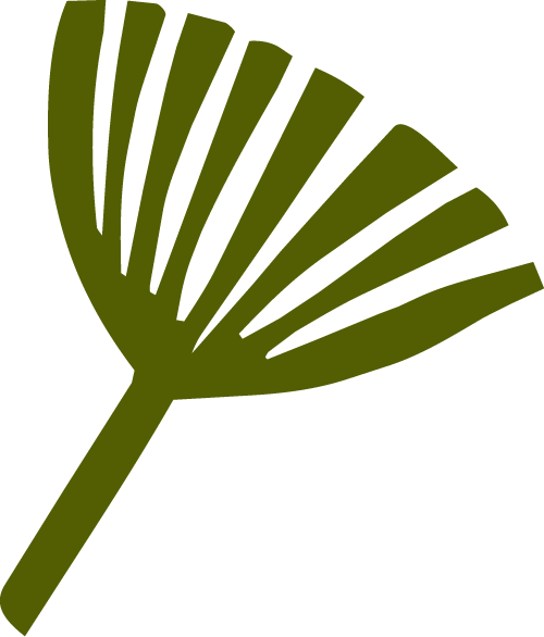 A dark green silhouette of a dandelion seed or a similar seed with a fan-shaped structure.