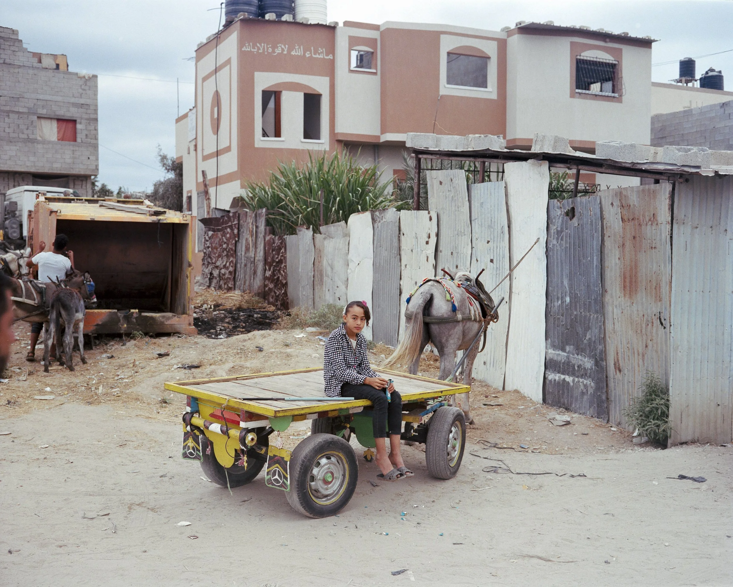 Donkey market, Gaza city, October 7 2022. © Lucien Lung / Riva-Press