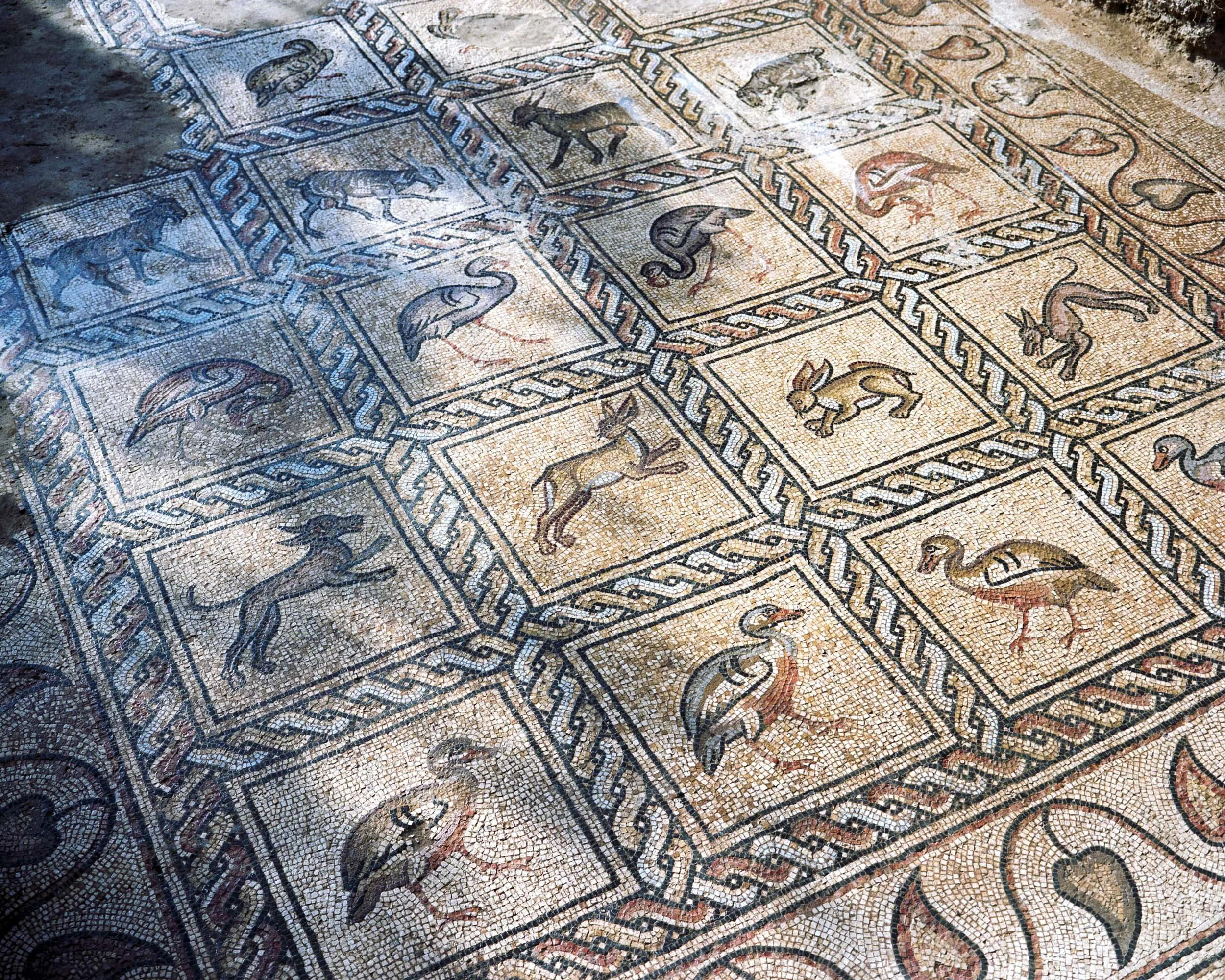 Mosaics from the 5th-7th century, discovered by Salman al-Nabahin in his orchard, near Bureij camp. Gaza Strip, October 4, 2022. © Lucien Lung / Riva-Press