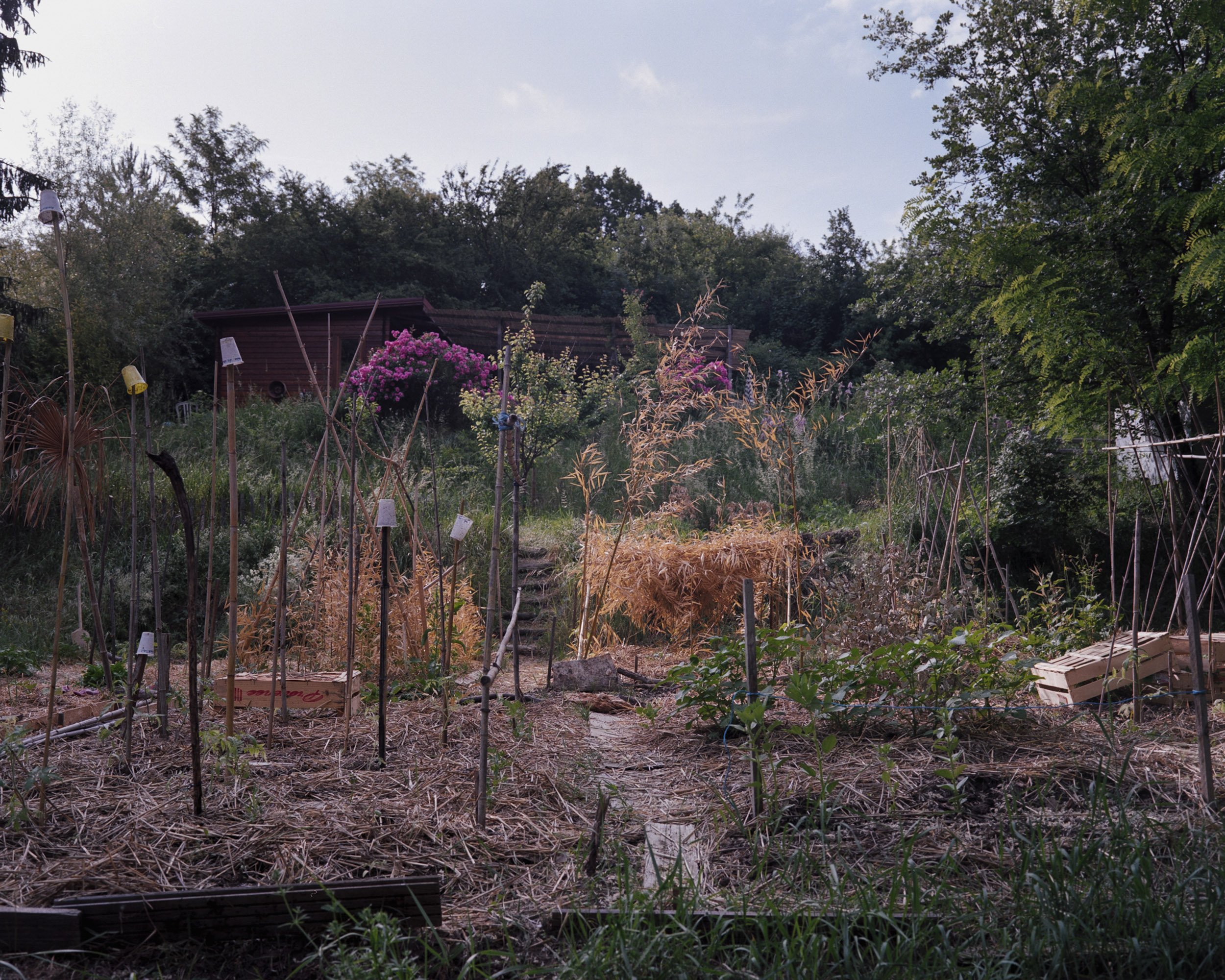 Potager d'Ecoravie.