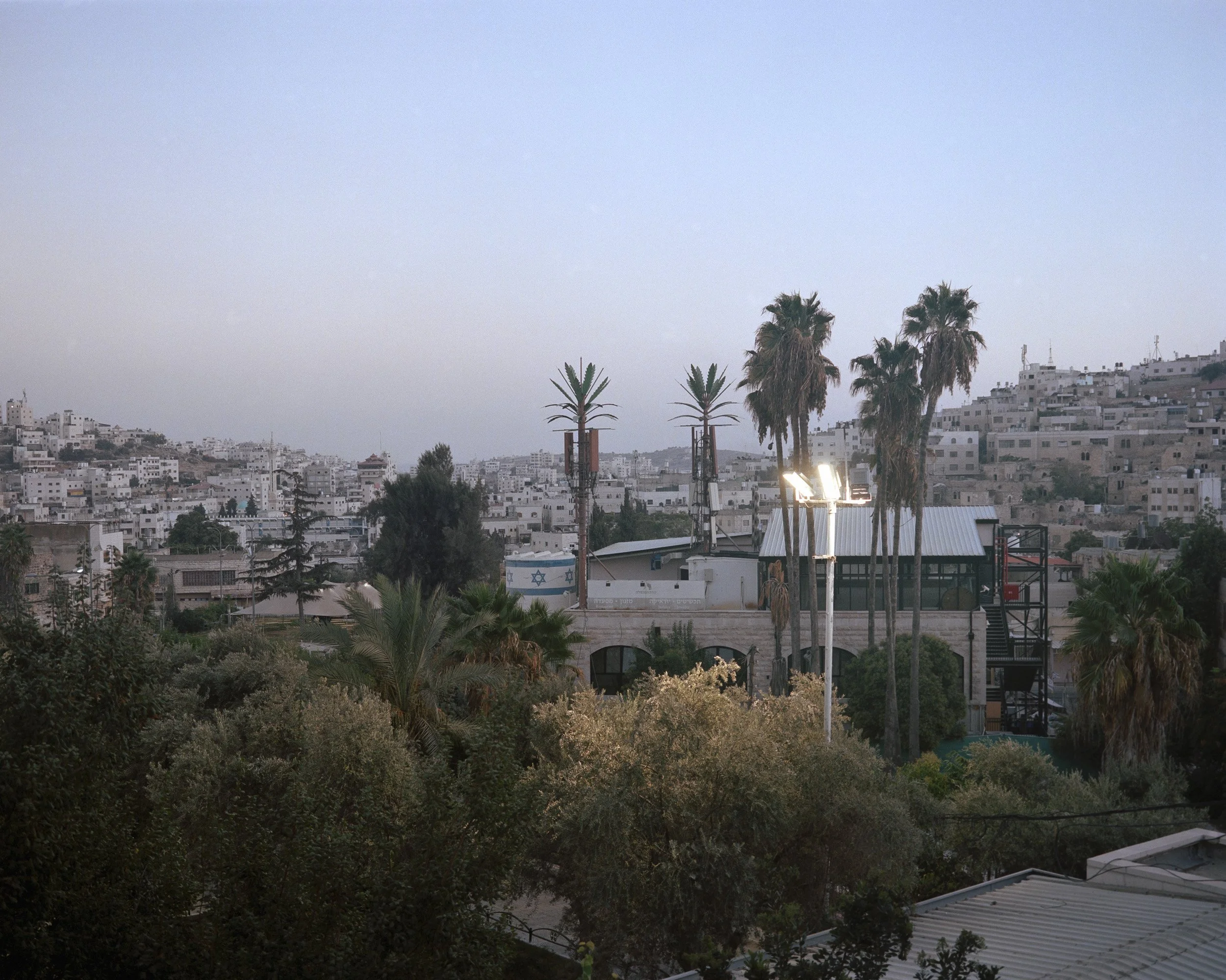 Israeli army surveillance palm antennas in downtown Hebron, opposite the Tomb of the Patriarchs/Ibrahim Mosque.