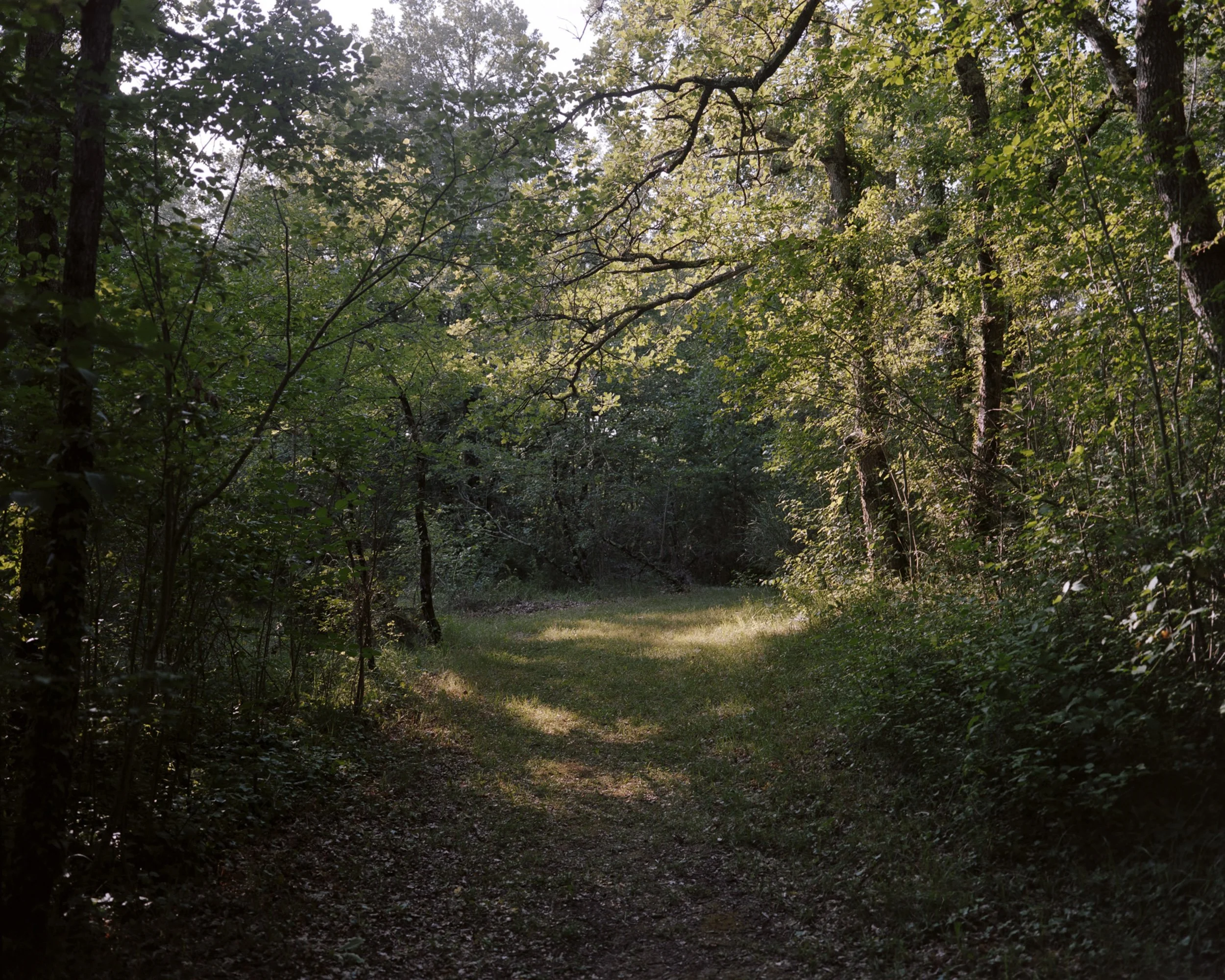 Sainte-Camelle compte 10 hectares de forêt sur les 18 que font le village.