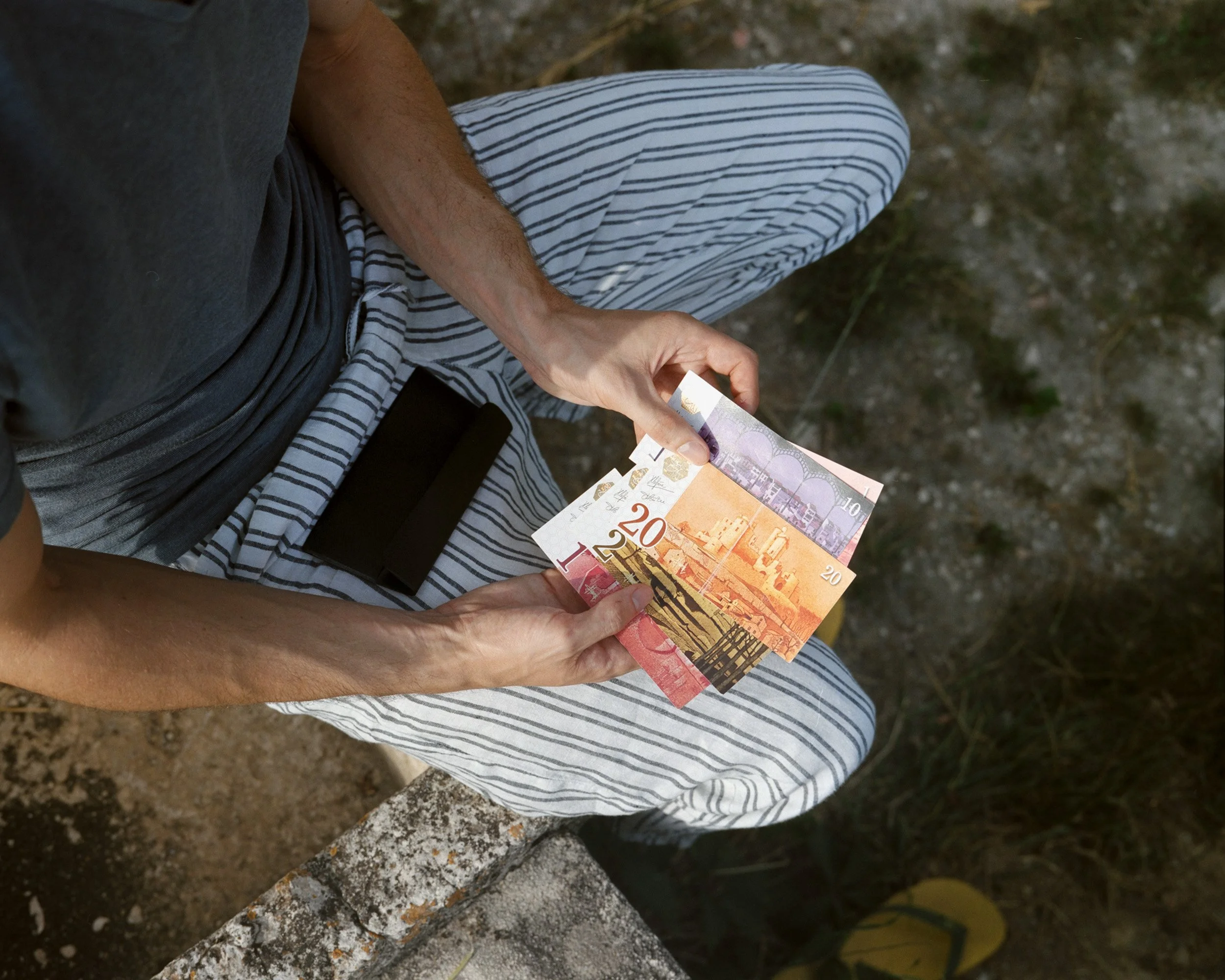 "Abeilles", monnaie locale complémentaire utilisée par les partisans du projet  Tera. Historiquement la première monnaie locale de France, "l'abeille" est une des pierres angulaire de Tera. Tera essaye ainsi de créer une économie des besoins primaire