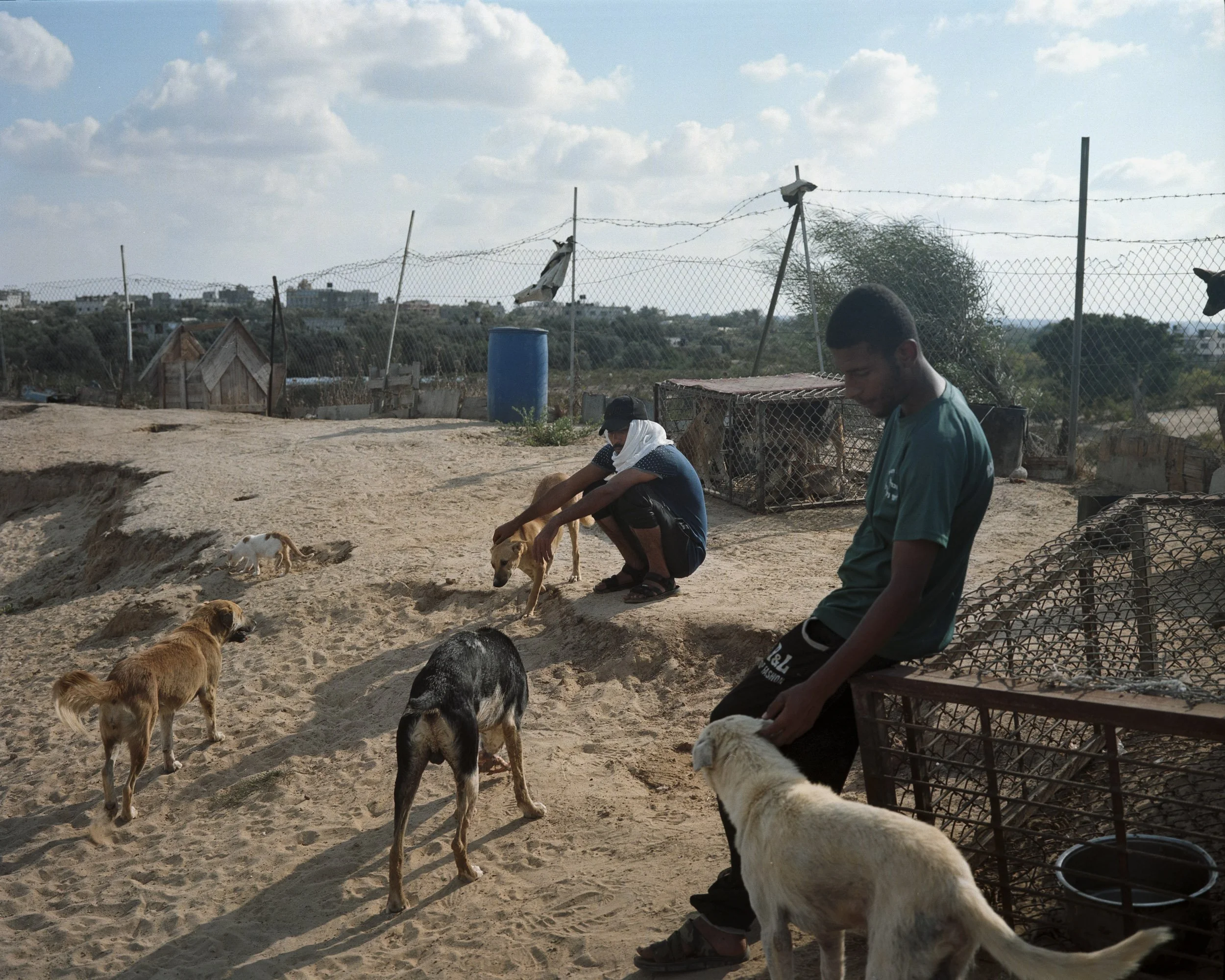 Volunteers from the only kennel in Gaza, taking in stray dogs. Al Mughraqa, Gaza Strip, October 8, 2022. © Lucien Lung
