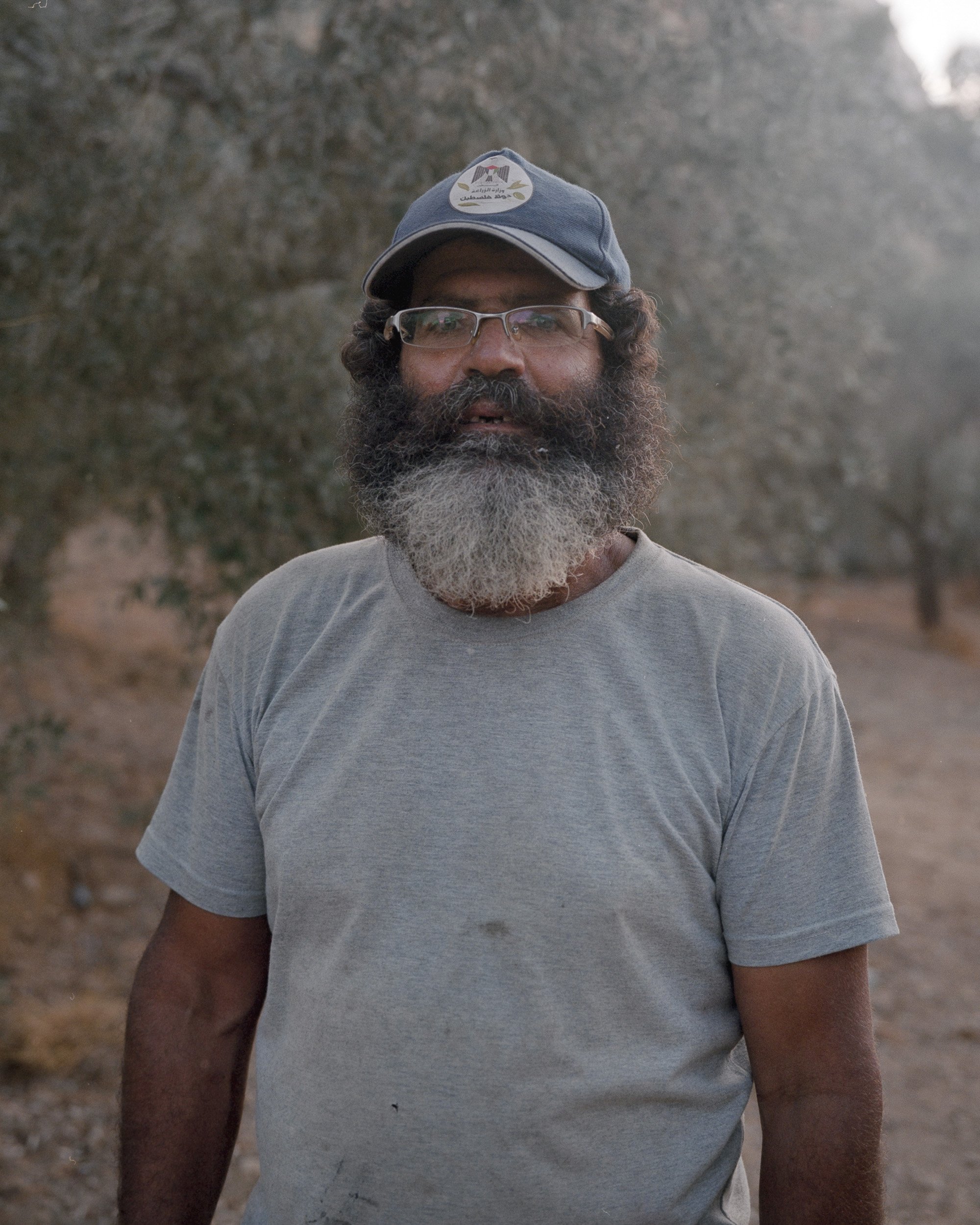 Abu Issa in his olive field, in Walaja, a village on the 'seam line'