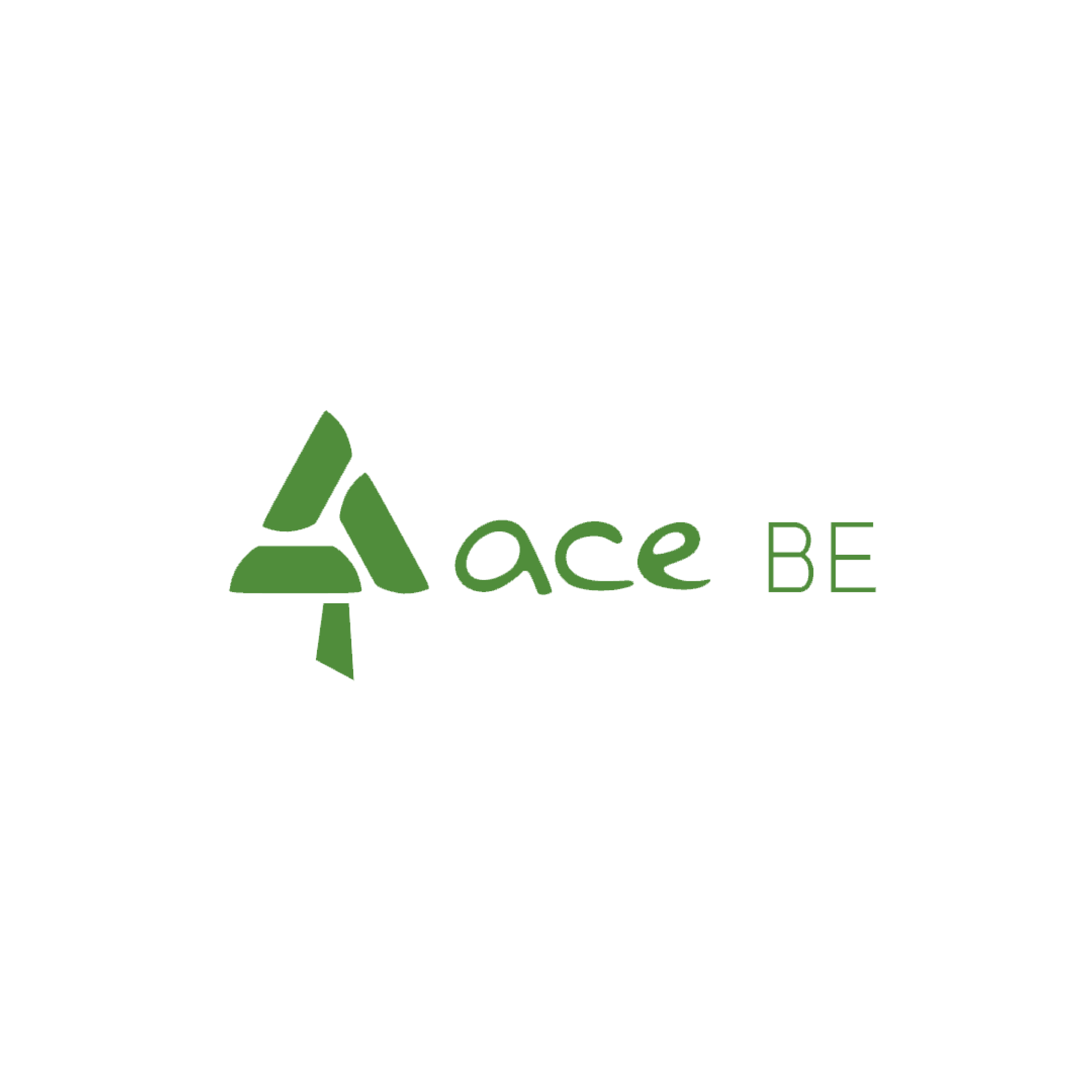 ace.be
