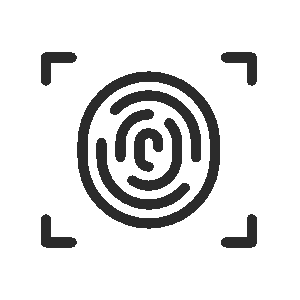 Brand and identity
