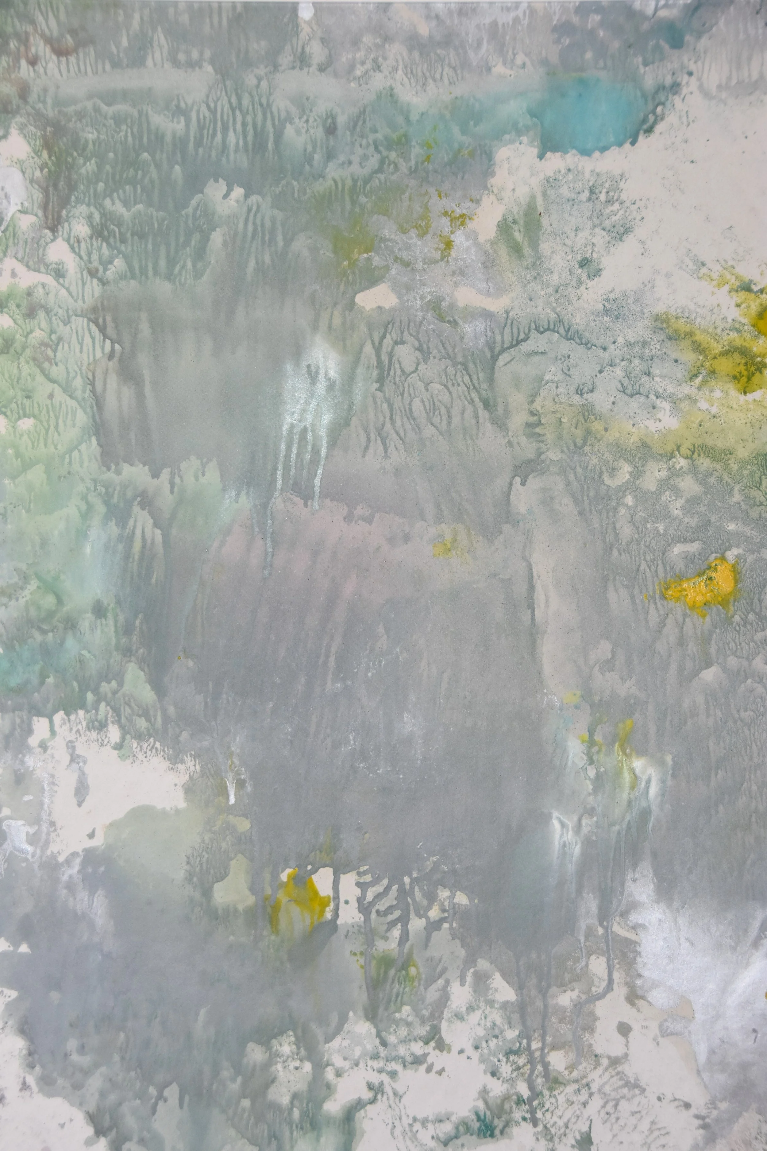 006 close up detail.JPG