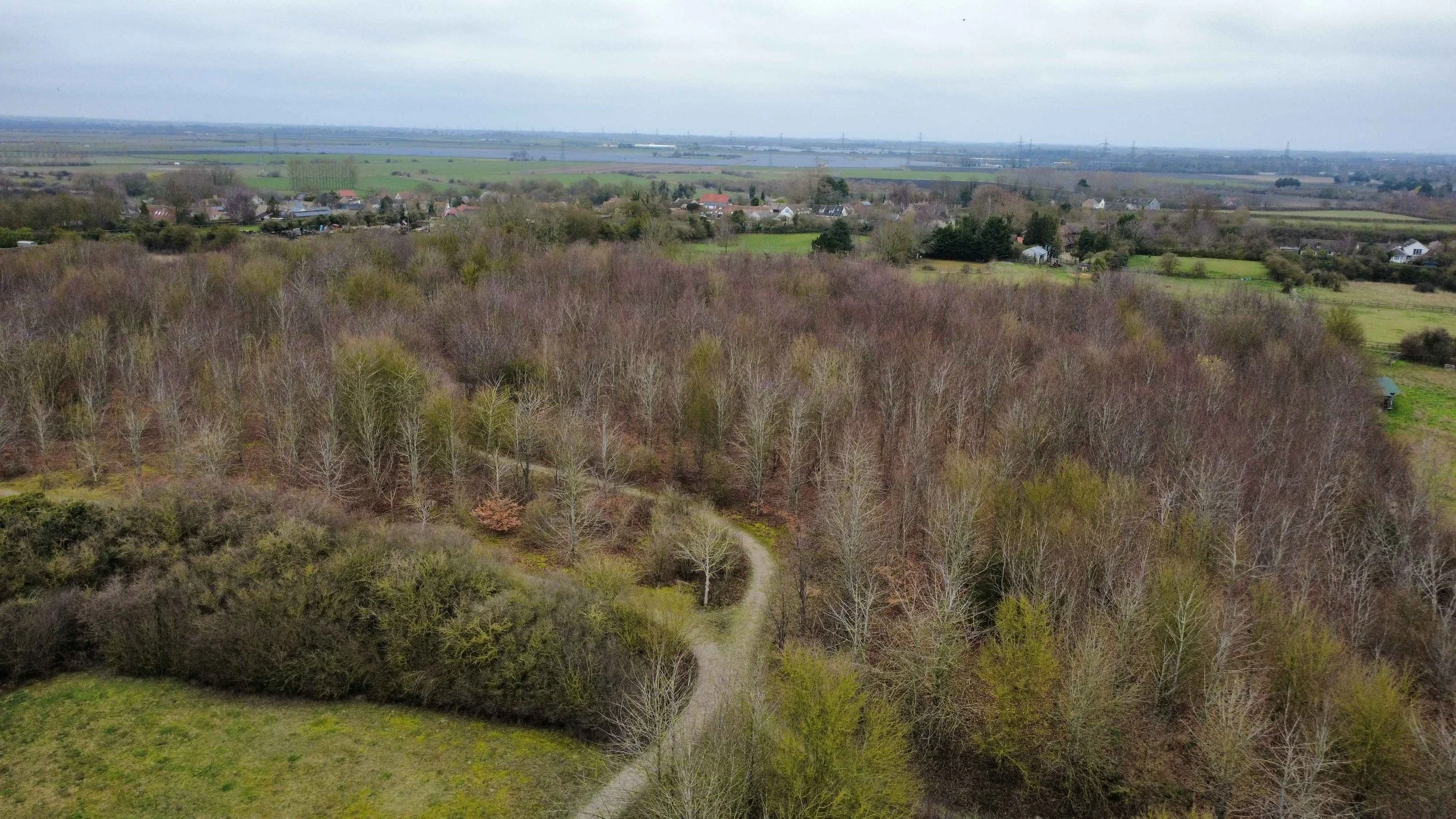 A view of a rural landscape with leafless trees, green fields, and a few houses, under an overcast sky.