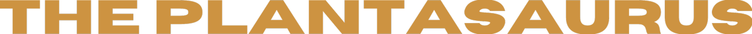 Dein Website-Titel
