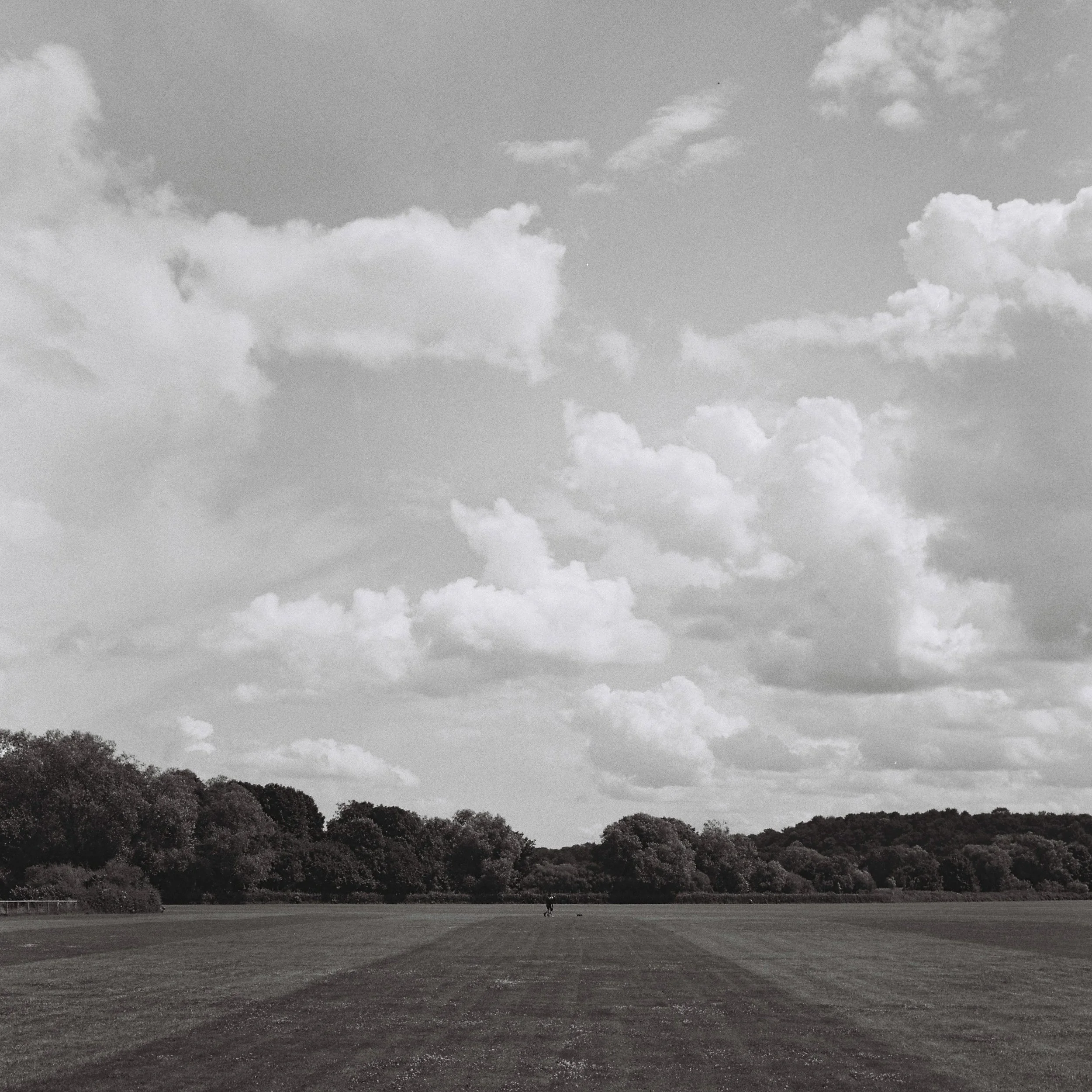 A wide open grassy field bordered by trees with a line of bushy trees in the background and a cloudy sky overhead.