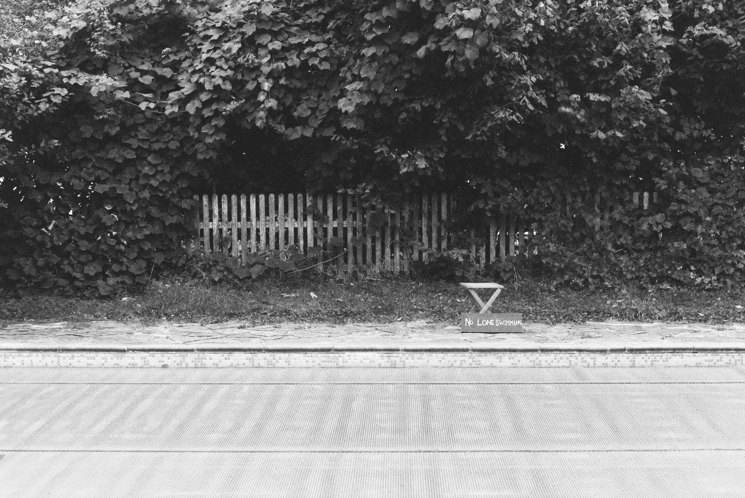 A black-and-white photo of a backyard with a large, leafy tree and a wooden fence. There is a small sign on the ground that reads 'No Lone Swimming.' The scene appears quiet and secluded.