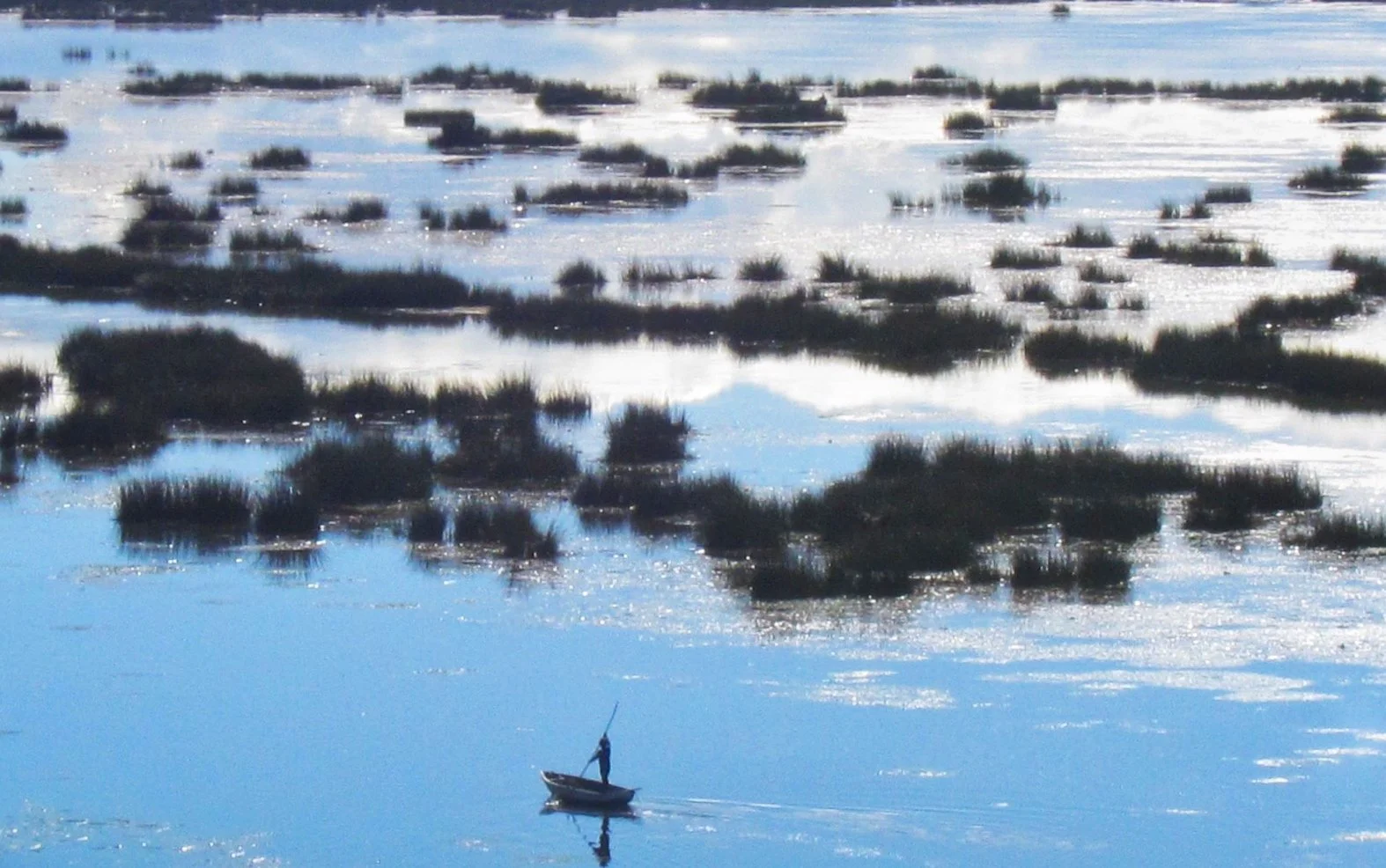 A person fishing from a small boat on a calm body of water with patches of grass and reflections of clouds in the water.