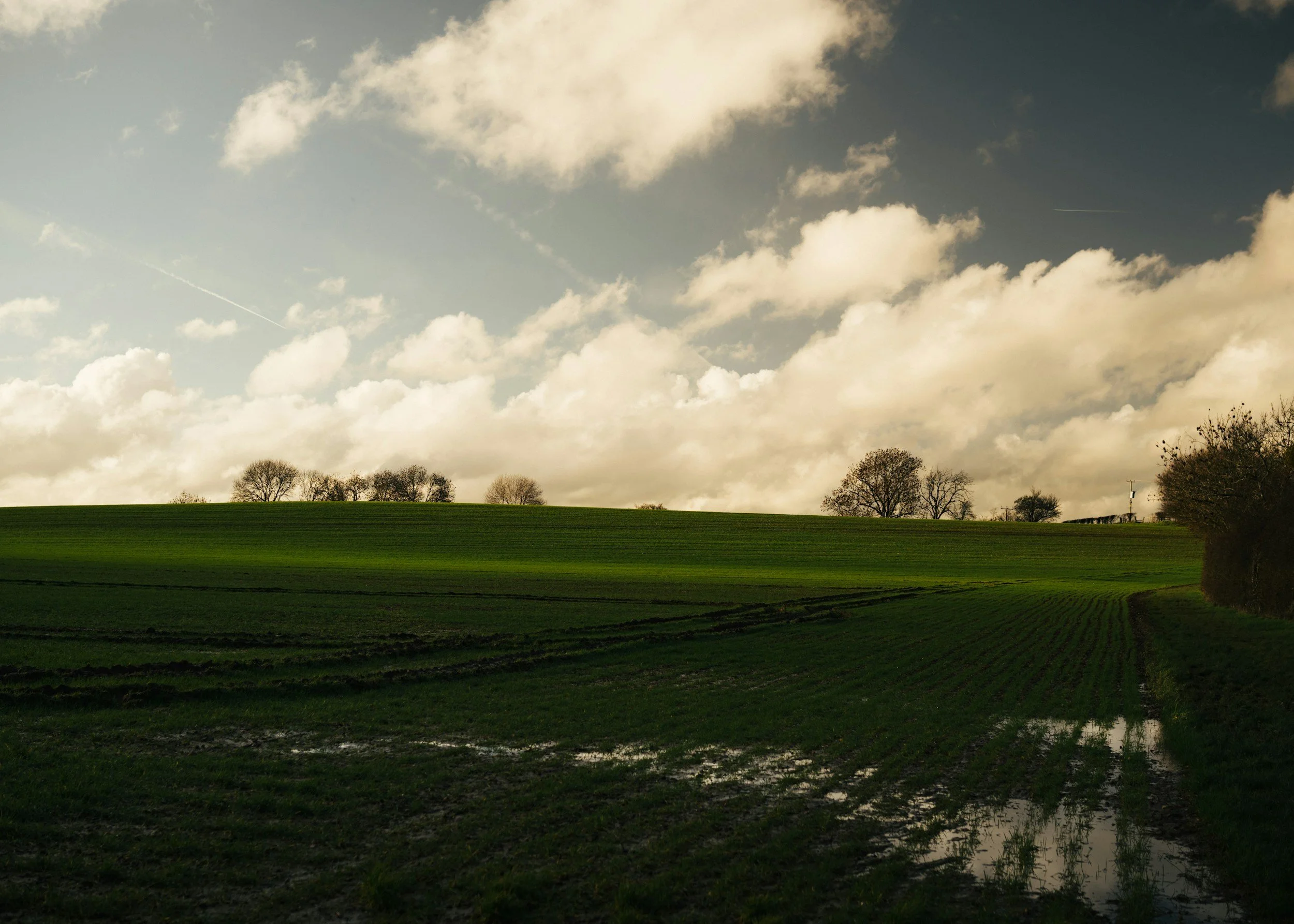 A scenic landscape of green fields with a few trees and a small pond, under a sky with scattered clouds and a faint contrail.