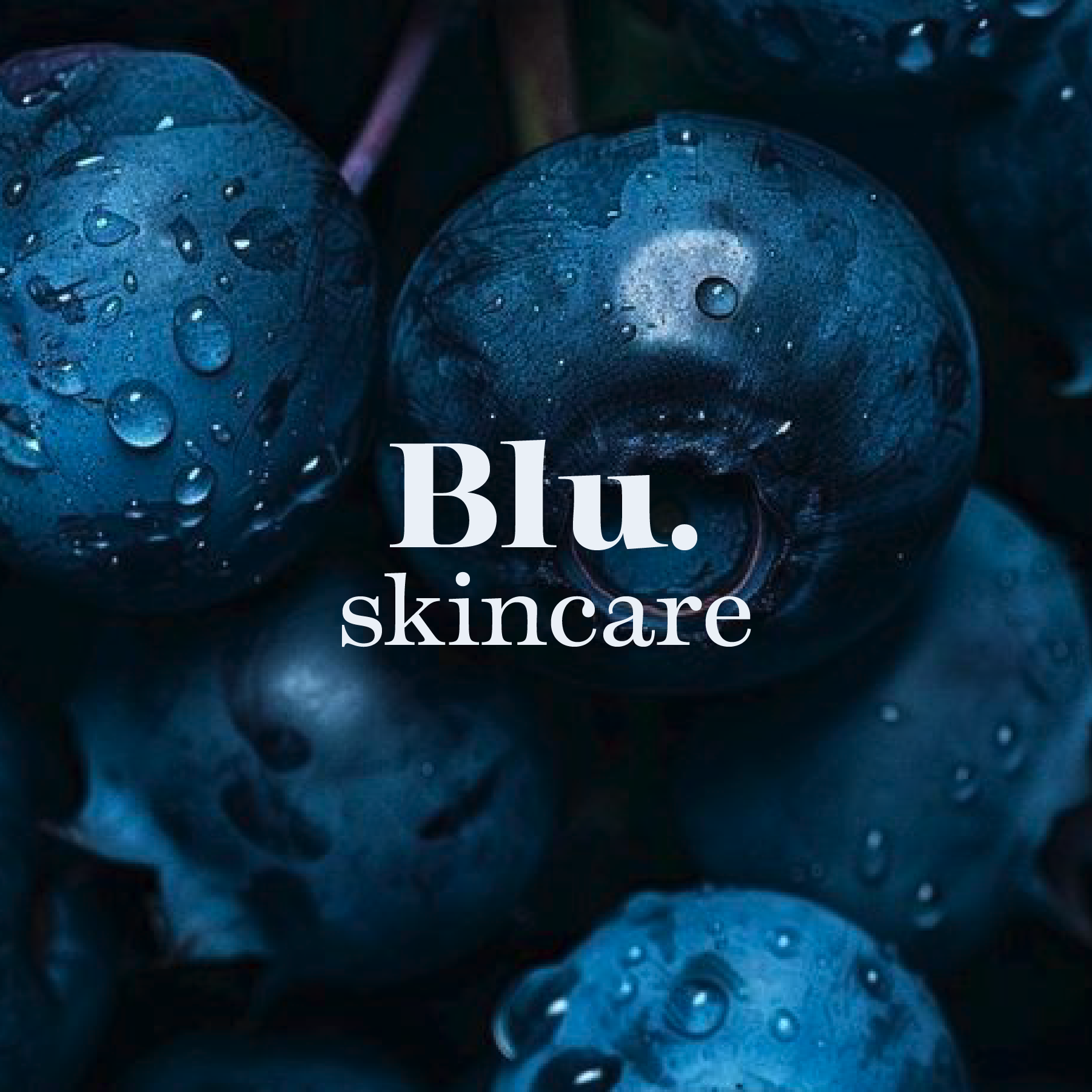 The Blu. Project