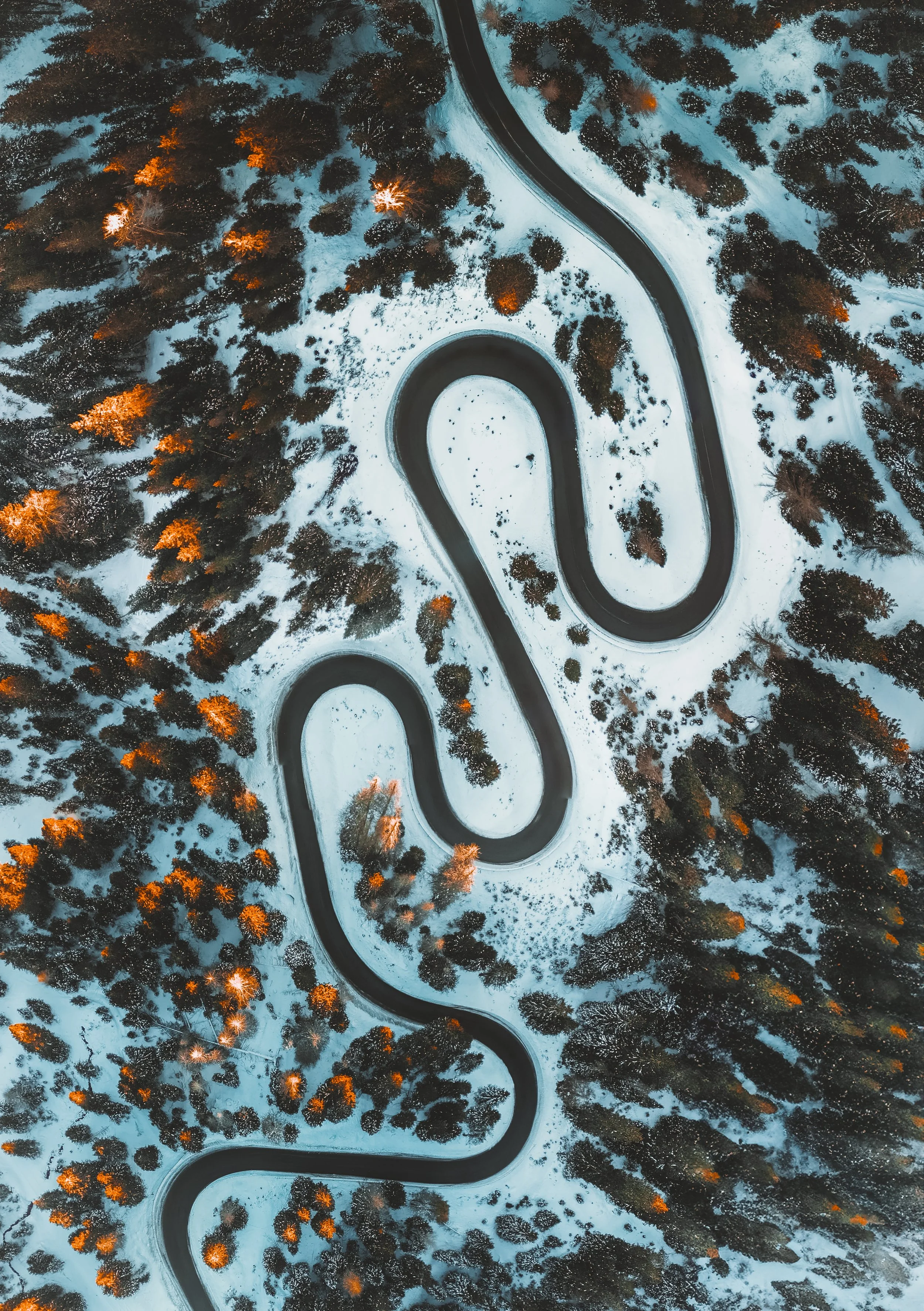 The Snake Road in the Italian Dolomites, photographed straight down from the air so the switchbacks read as a continuous dark ribbon folding back on itself through snow. Larch stand bare and rust-coloured among darker pine on either side, and the sno
