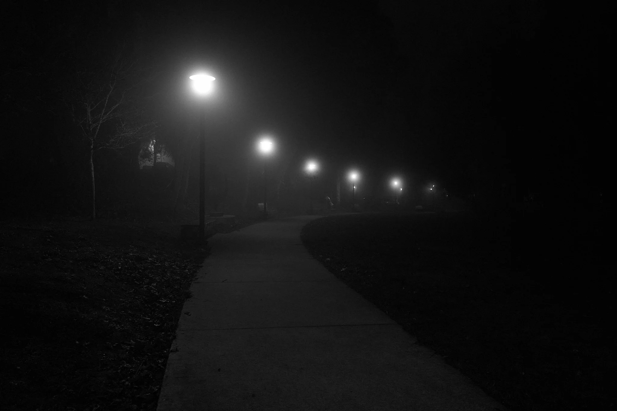L1000110.jpg