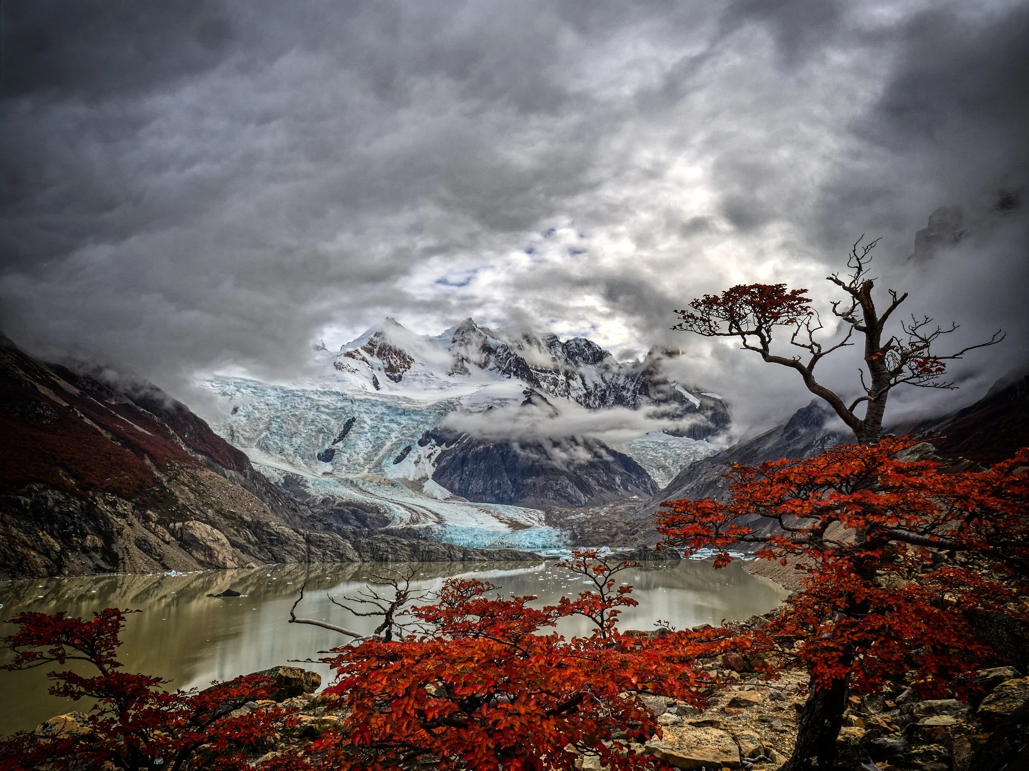 _A015969ah-ap.jpg
