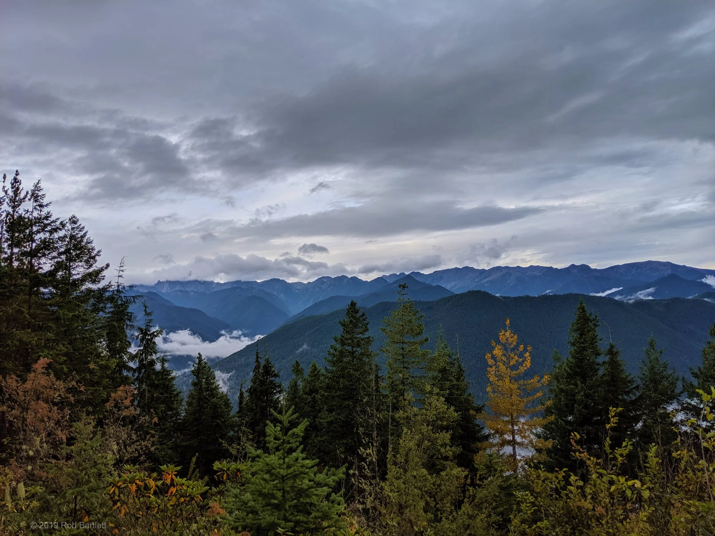 IMG_20190914_113752.jpg