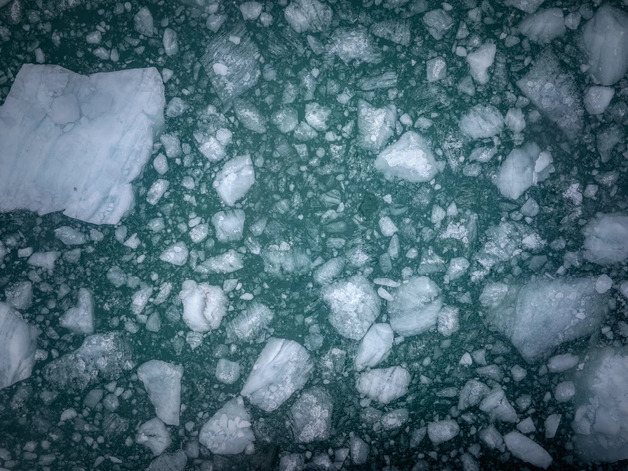 DJI_20250328100925-7_0145_D.jpg