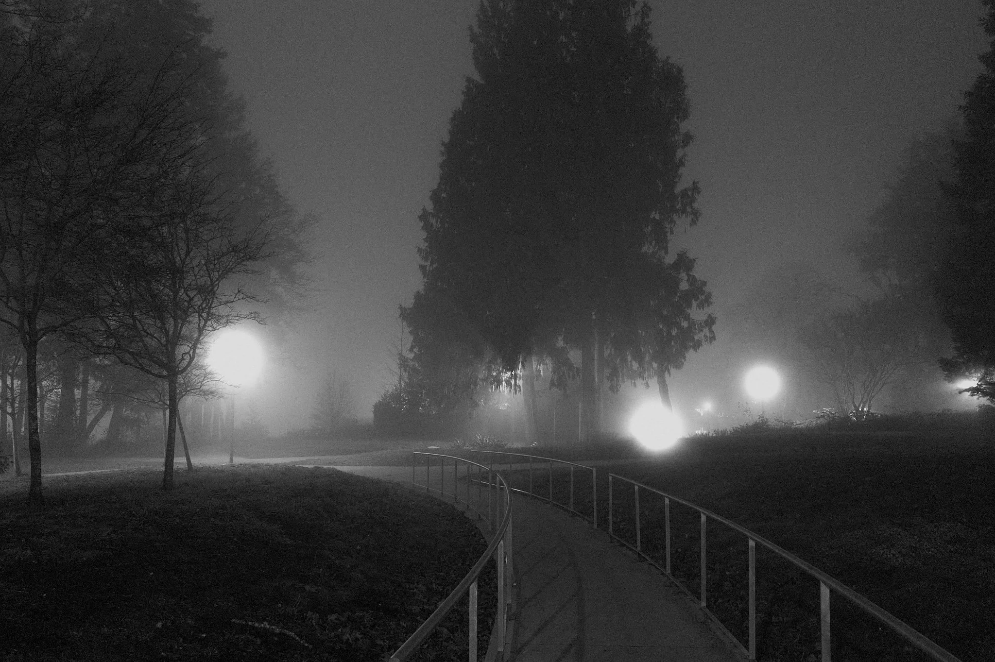 L1000107.jpg