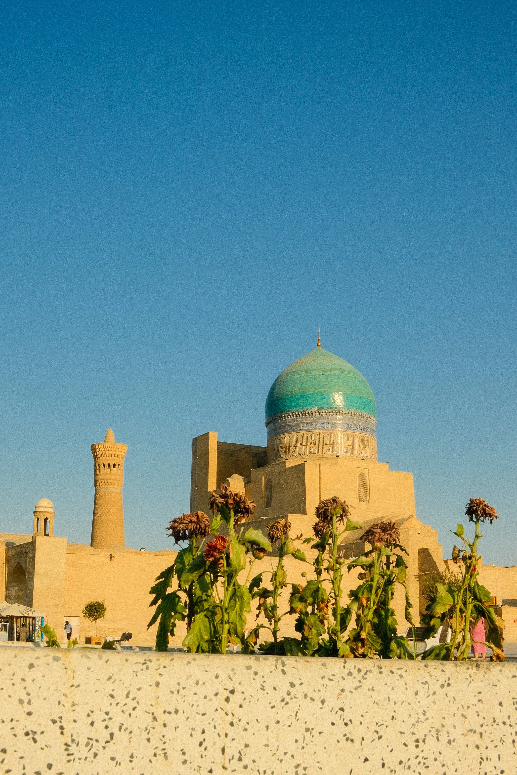 Bukhara Fuji 6.jpg