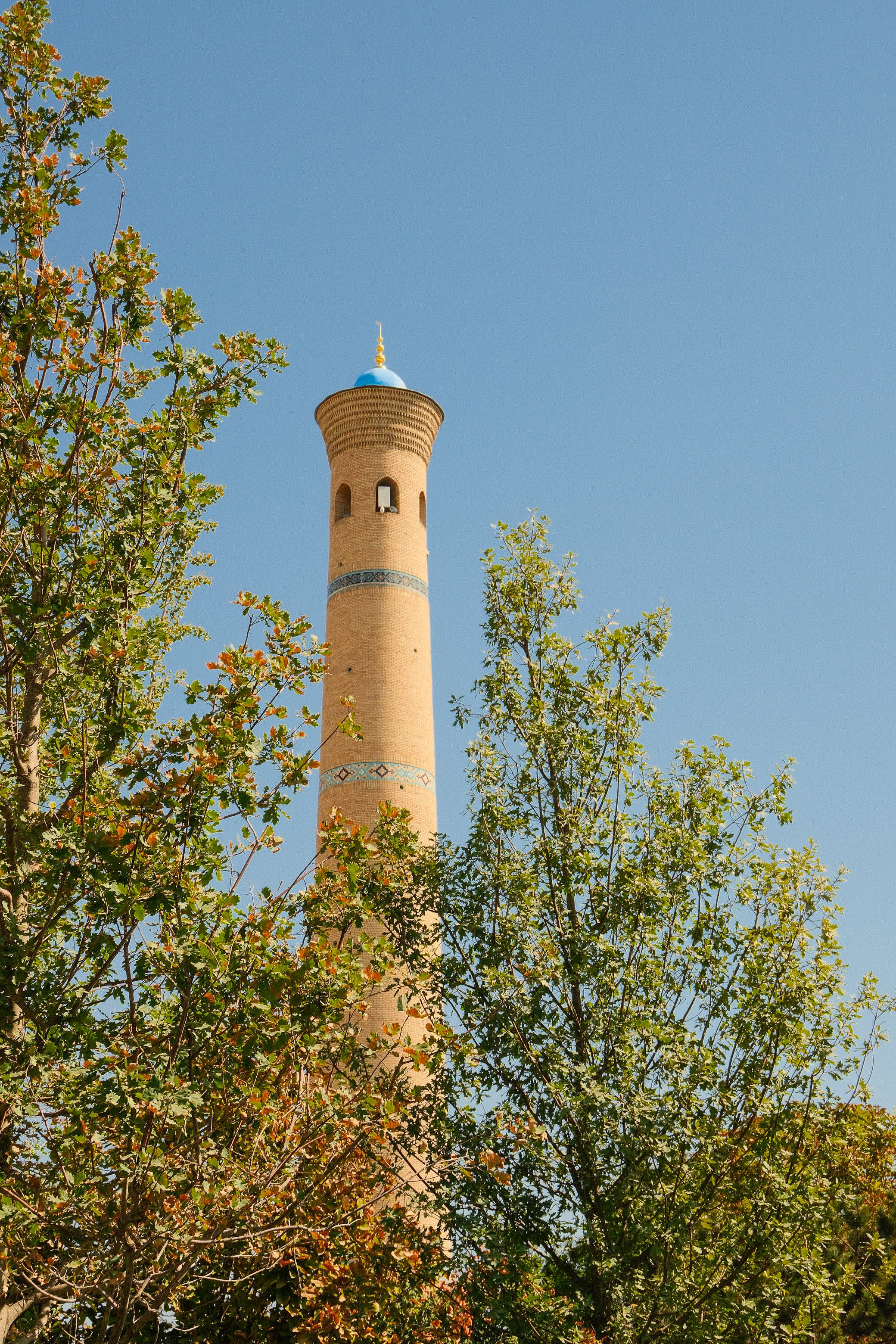 Tashkent Fuji 12.jpg